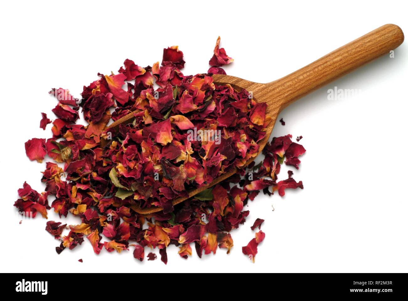 Pétales de rose séchées (Rosa spp.) sur une cuillère en bois Banque D'Images