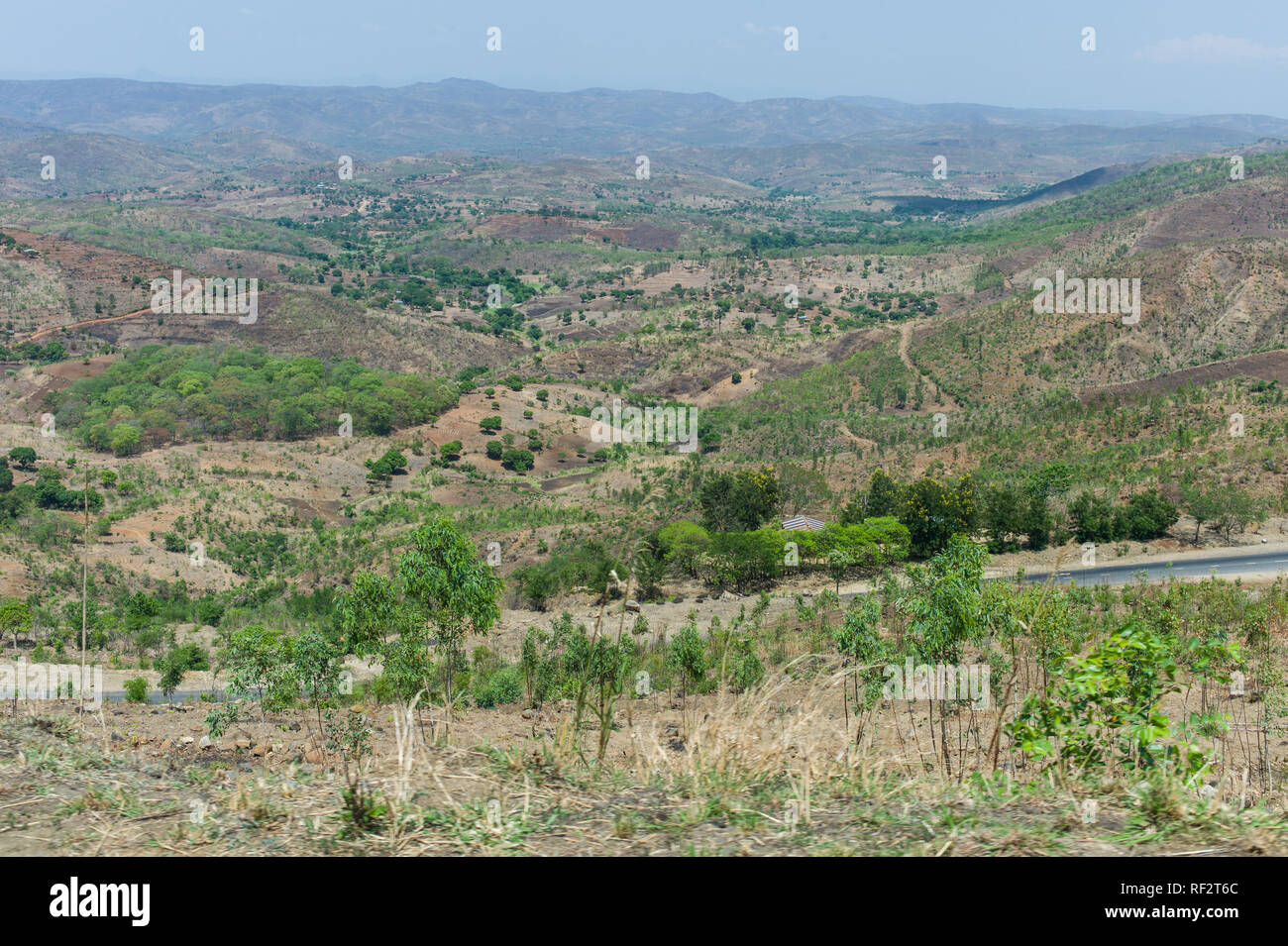 Le Malawi est un pays à forte densité de population avec une forte transformation des terres comme indiqué dans ce paysage montrant les petits terrains et plantations Banque D'Images