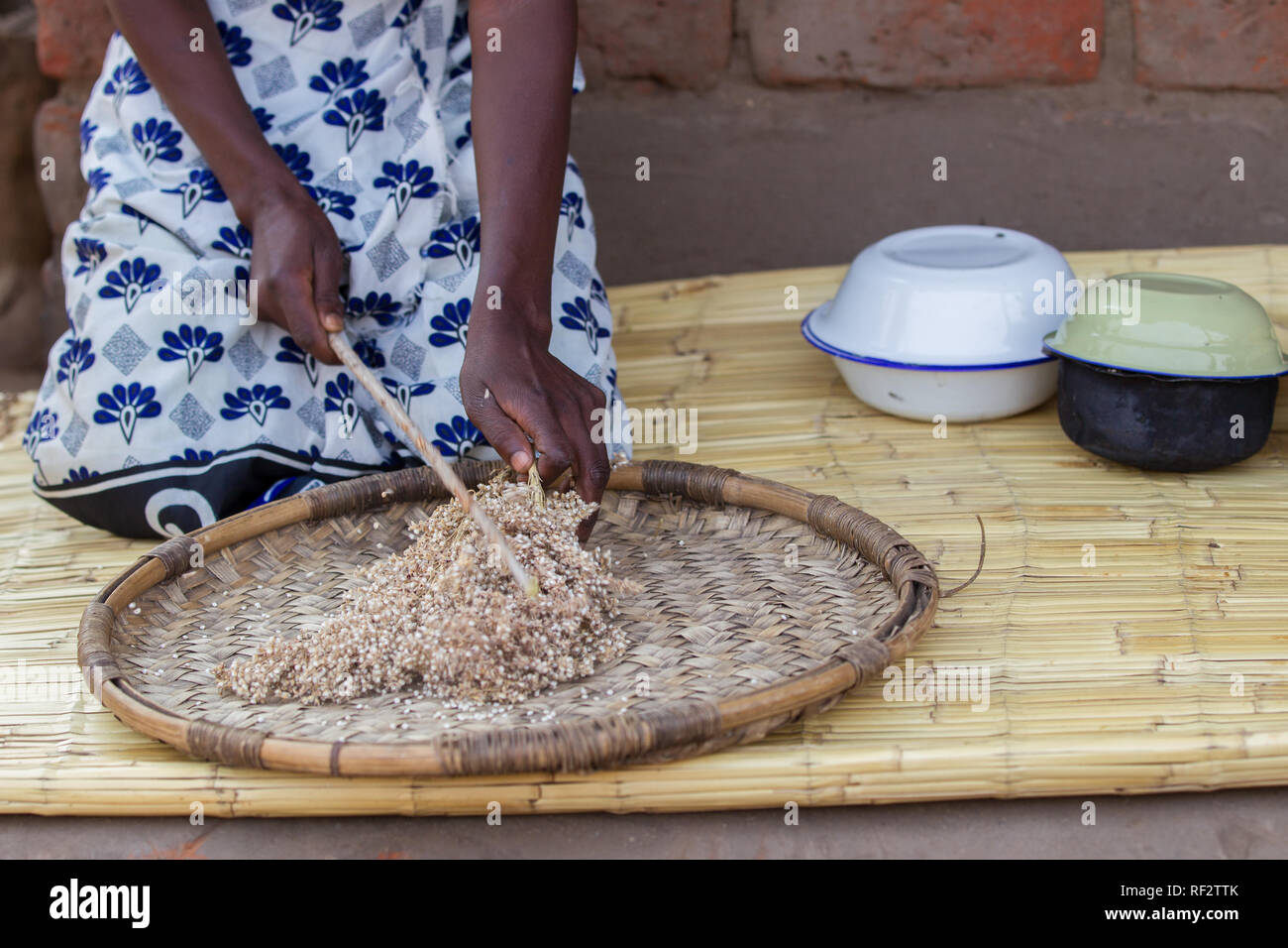 Une femme du Malawi montre comment enlever les grains de sorgho séché dans l'usine pendant une visite communautaire pour les touristes à la réserve faunique Majete, Chikwawa Banque D'Images
