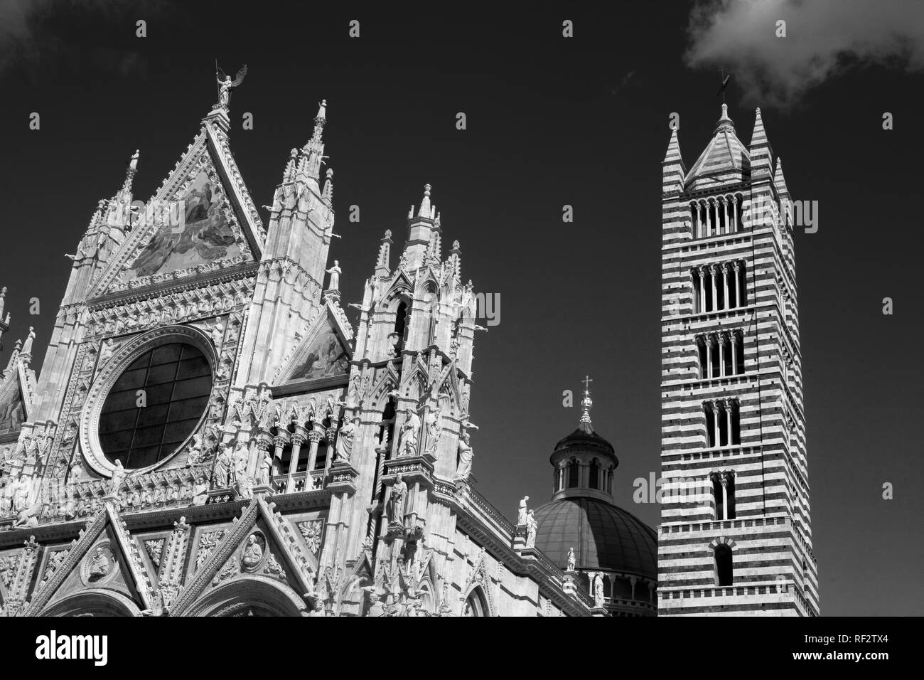 L'élaboration de la façade et tour de la cathédrale (Duomo), Sienne, Toscane, Italie : version noir et blanc Banque D'Images