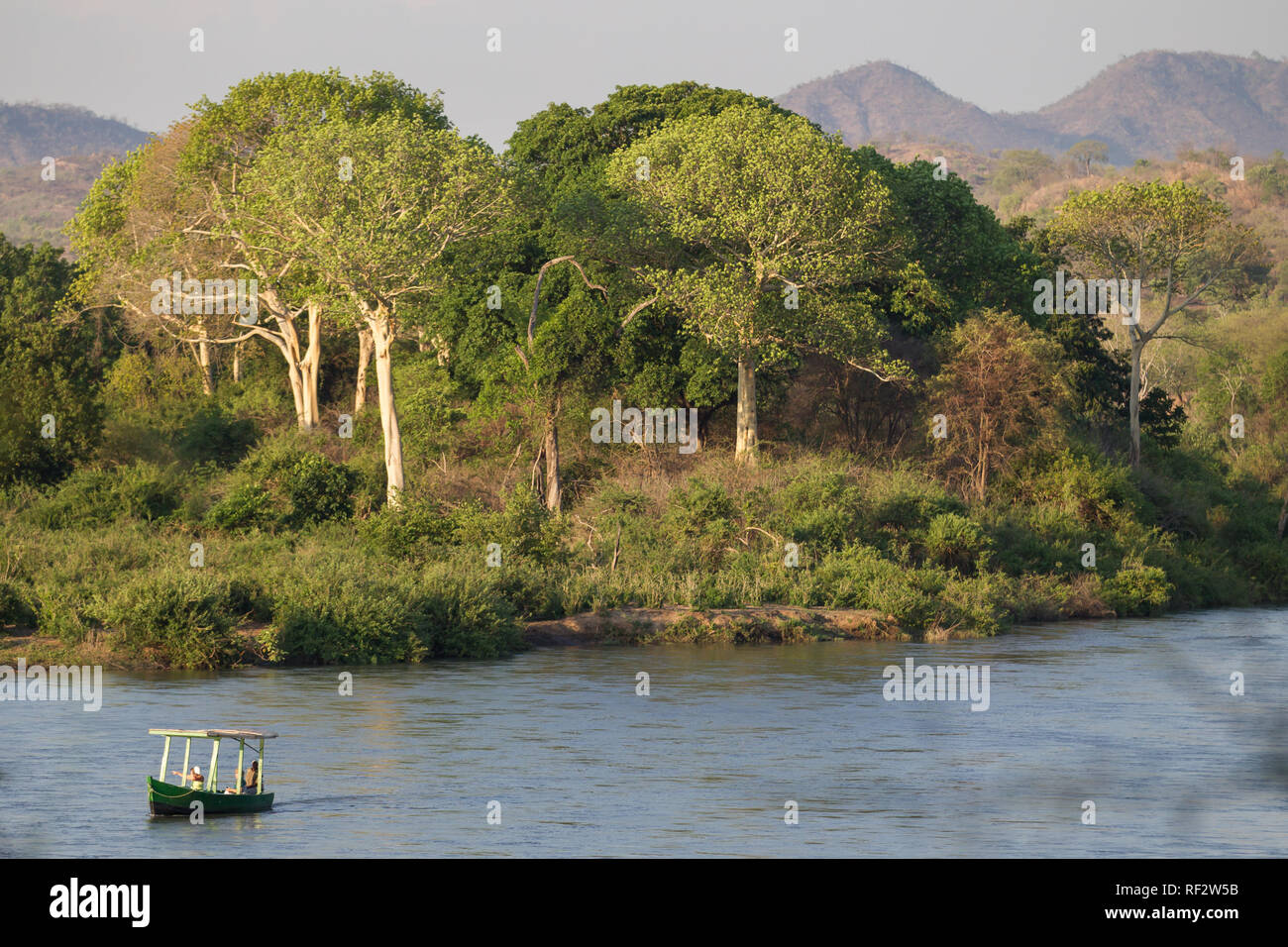 La Shire River est le plus grand et le seul débouché du lac Malawi ; les visiteurs de la Réserve de faune Majete profitez d'un visionnement de jeu de l'après-midi excursion en bateau Banque D'Images