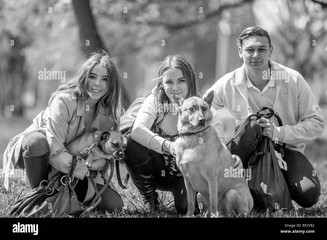 Les jeunes avec leurs chiens dans le parc à une exposition canine regardant la caméra Banque D'Images