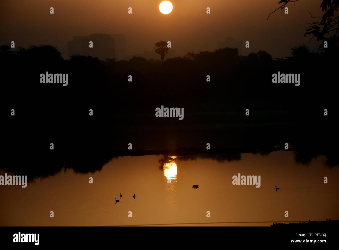 Mumbai, Inde. 23 janvier, 2019. Lever de soleil sur lac Powai à Mumbai. Azhar Khan/Alamy Live News Banque D'Images