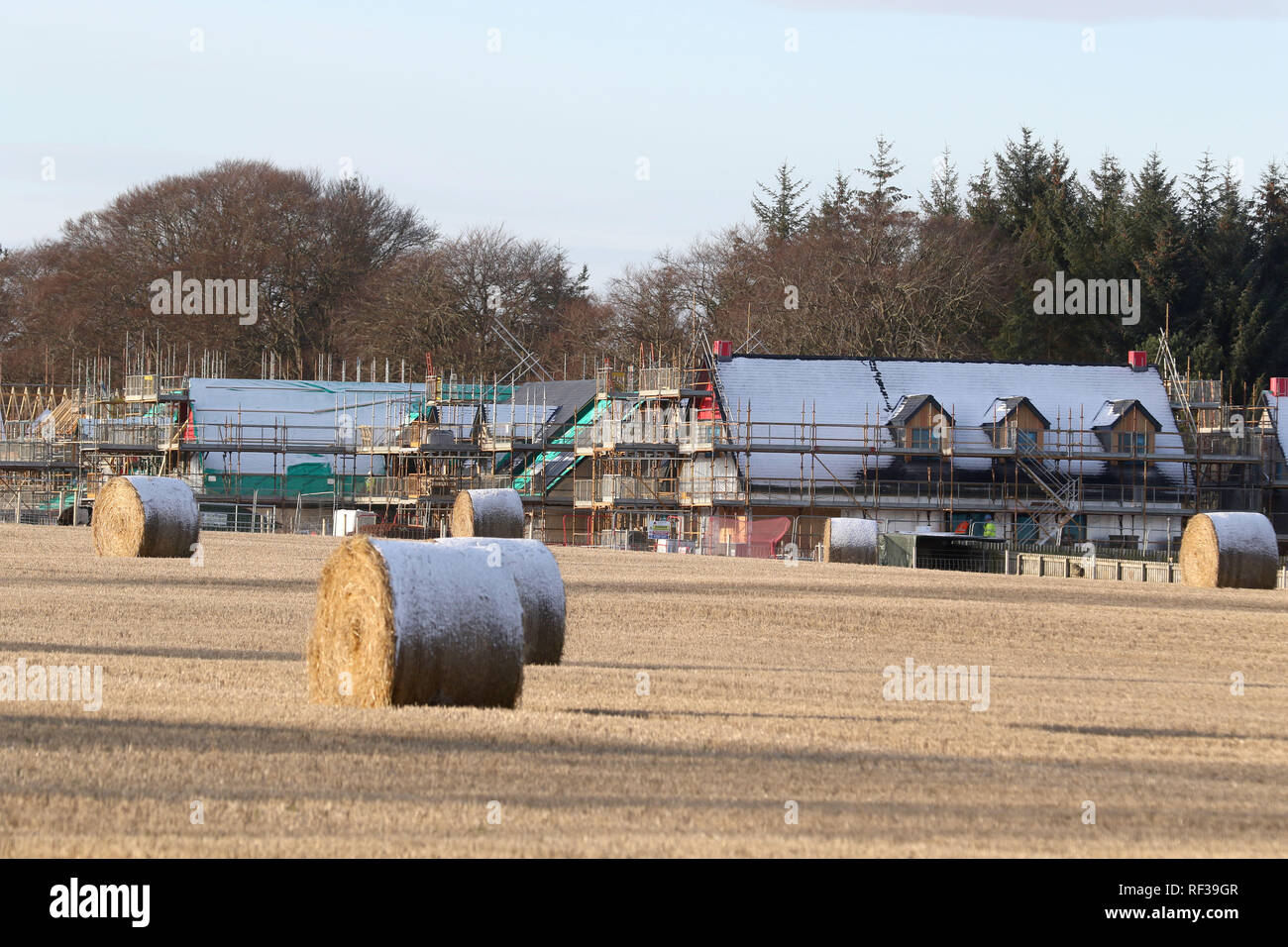 Culloden, Inverness, Écosse. 24 janvier, 2019. Les photos montrent que le cadre d'un développement immobilier controversé près de Culloden Battlefield est visible depuis le champ de bataille. Les manifestants contre les nouvelles maisons affirment qu'ils ont été informés par les développeurs que les maisons Maisons Kirkwood ne serait pas visible depuis le champ de bataille. Cette photo montre une autre vue sur les maisons à partir de la proximité de la zone de construction. Crédit : Andrew Smith/Alamy Live News Banque D'Images