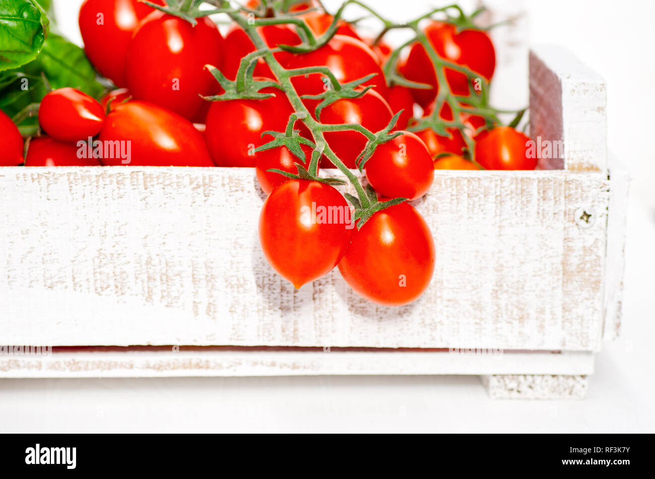 La cueillette des tomates. Tomates cerises sur une branche dans une boîte en bois sur un fond blanc. Banque D'Images