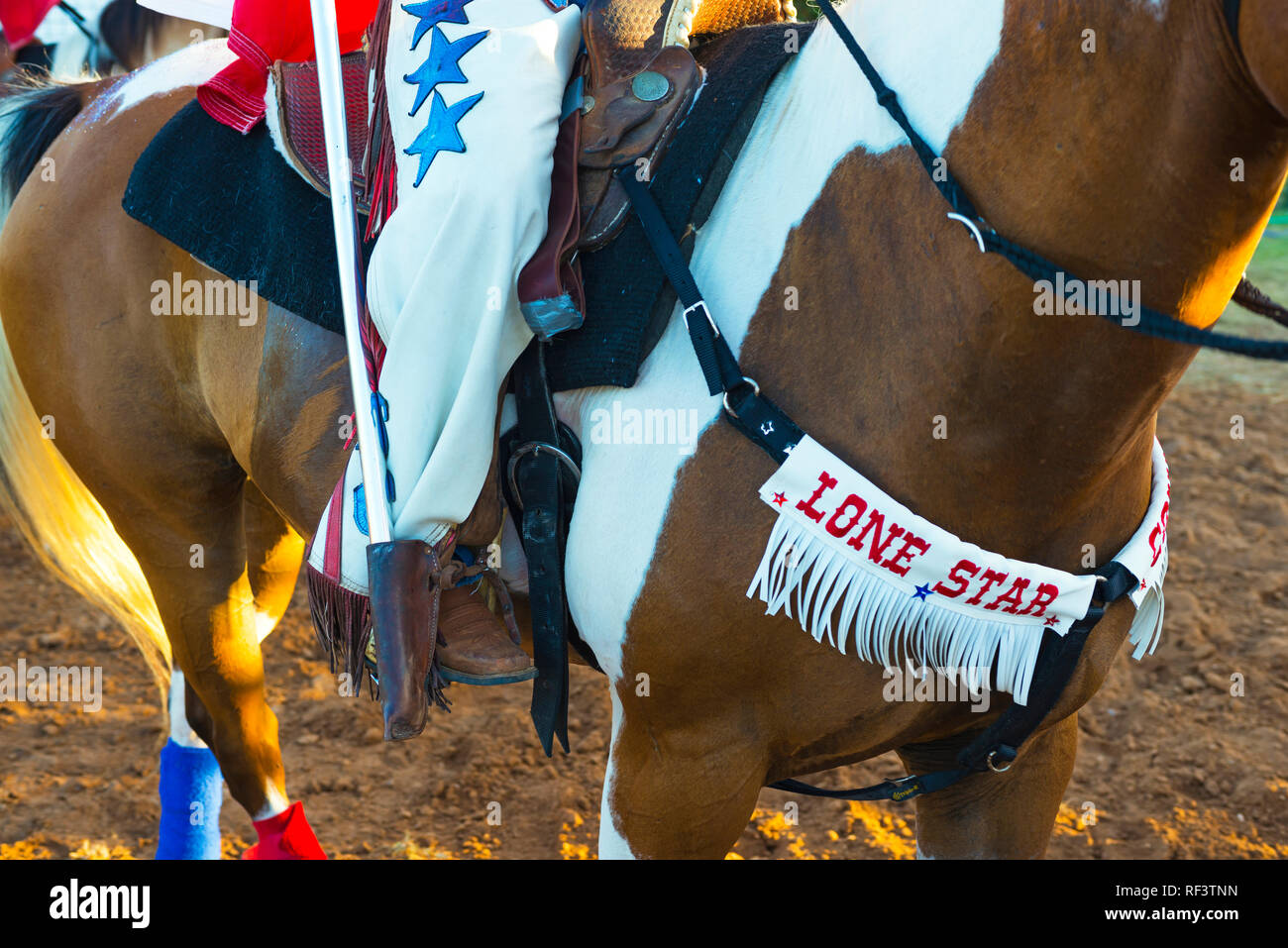 Rodeo cowgirls horse Banque D'Images