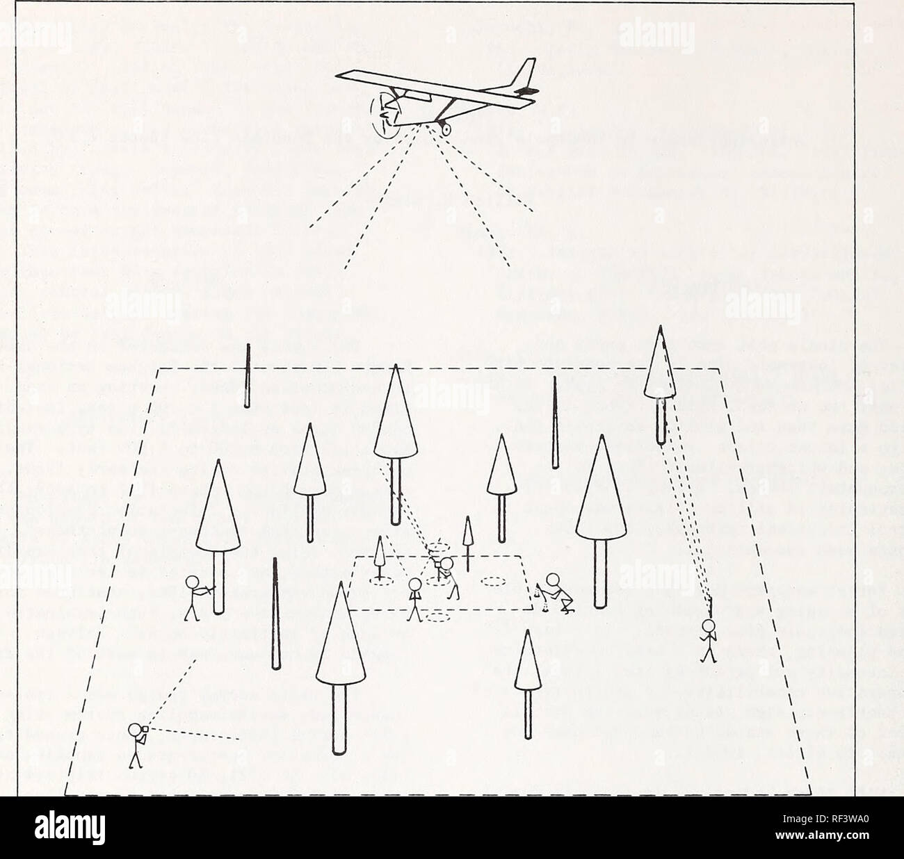 . Des sujets actuels en entomologie forestière : un choix d'articles sur le xve Congrès International d'Entomologie, Washington, D.C., 1976. Les insectes forestiers Congrès. • 4- MORTALITÉ ACRE ANTENNE t &Lt ; vérité terrain) • •rapport de cime vivante de l'IOO SO'x' TERRAIN HABITAT • •LA STRUCTURE DE PEUPLEMENT LA DENSITÉ DE LA COURONNE C&amp;AF ) • INCREKAE.NT plate •LA REPRODUCTION. Évaluation de GUI •LA HAUTEUR DE L'arbre . PHOTO DE MASSE Figure 1.-L'intrigue de base de la conception d'échantillonnage. les arbres ont été marqués de façon permanente pour référence future. Des données supplémentaires ont été pris sur la hauteur des arbres, la cime, le gui rapport incident, les taux de croissance, la densité de la Couronne, de la reproduction, de l'habitude Banque D'Images