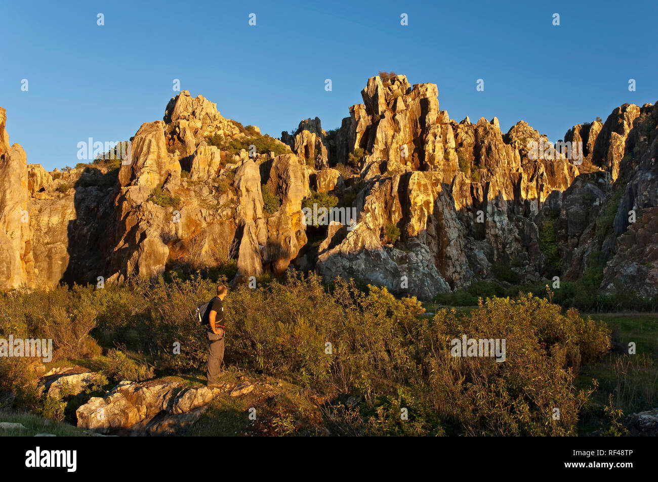 Monument naturel d'El Cerro del Hierro. Le Parc Naturel de la Sierra Norte. Province de Séville. Région de l'Andalousie. L'Espagne. L'Europe Banque D'Images
