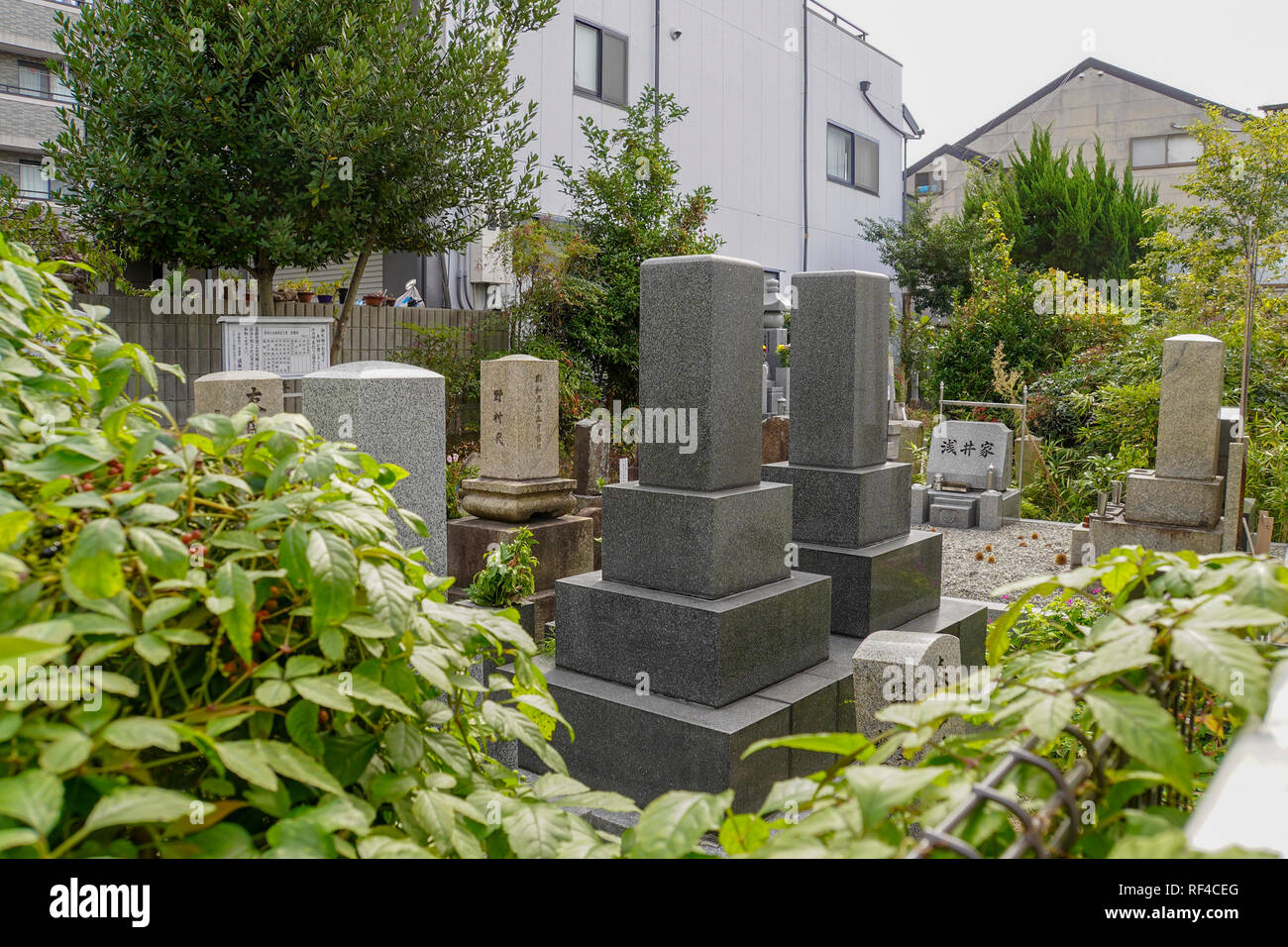 Pierres tombales dans le cimetière de Kyoto, Japon Banque D'Images