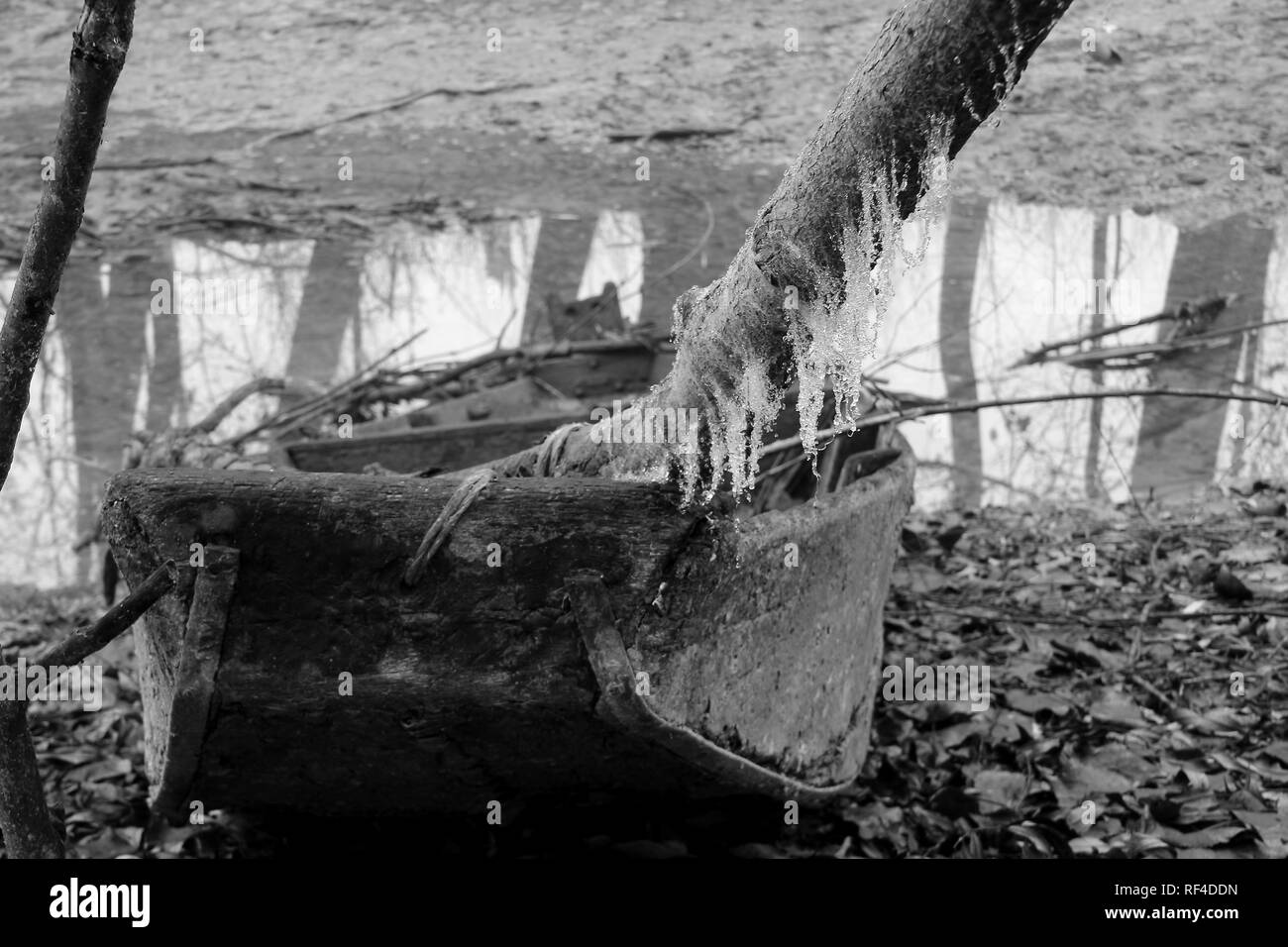 La direction générale de Frosty menant au vieux bateau woody. Frosty voile épave dans le bois Banque D'Images