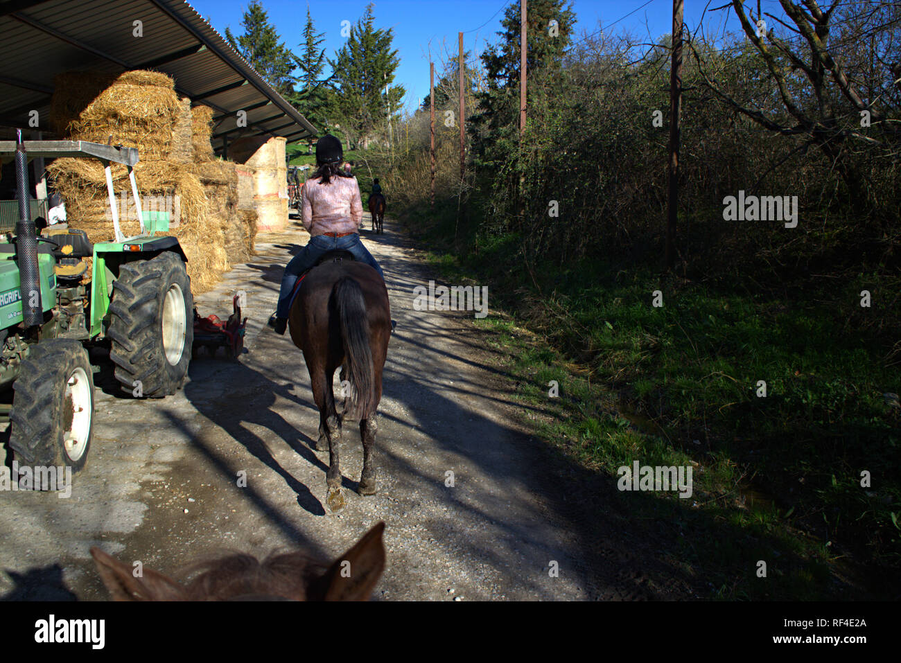 Pieve a Salti, voie à travers champs avec une cavalière, près de Montalcino, province de Sienne, Toscane, Italie Banque D'Images