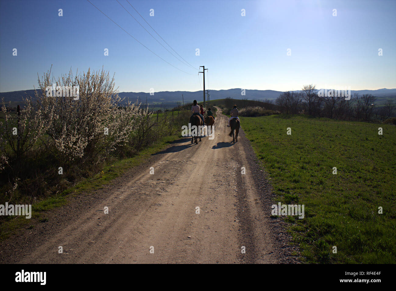 Pieve a Salti, voie à travers champs avec une cavalière, près de Montalcino, province de Sienne, Toscane, Italie Banque D'Images