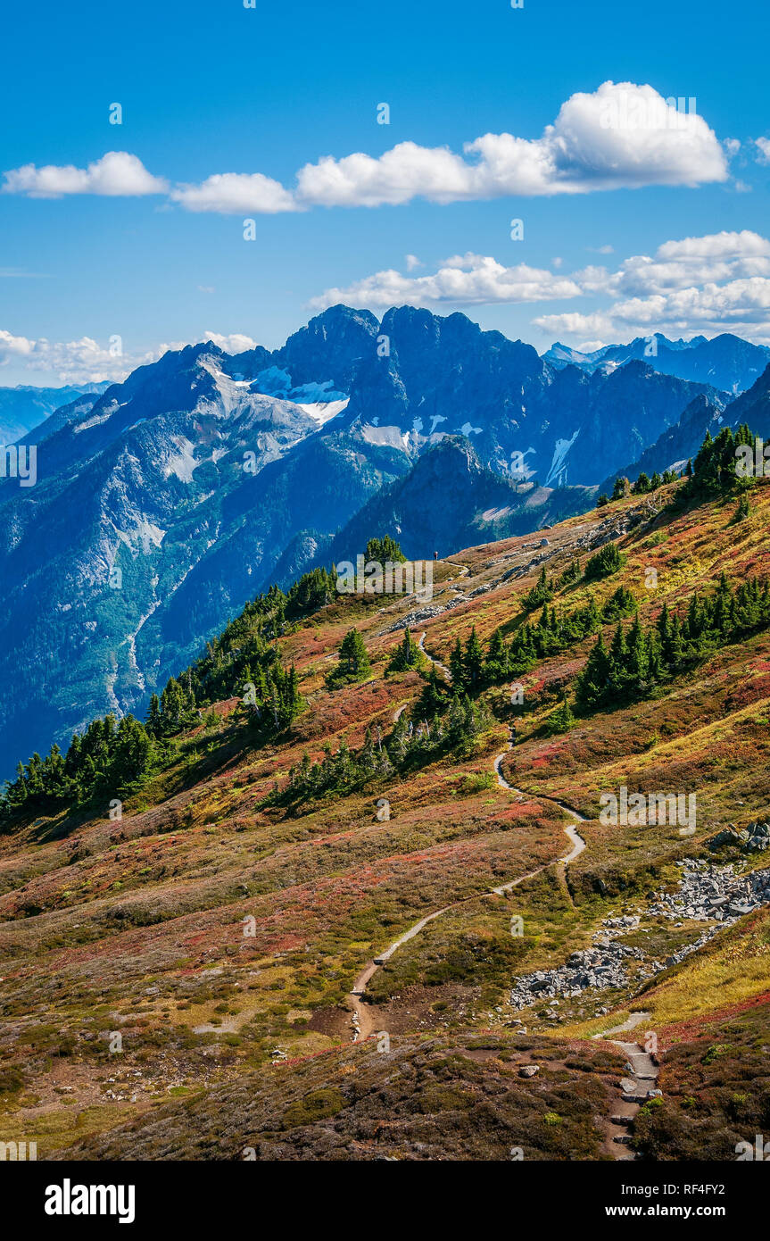 Vue vers le bras de Stehekin Sahale Trail, Cascade, col North Cascades National Park, Washington. Banque D'Images