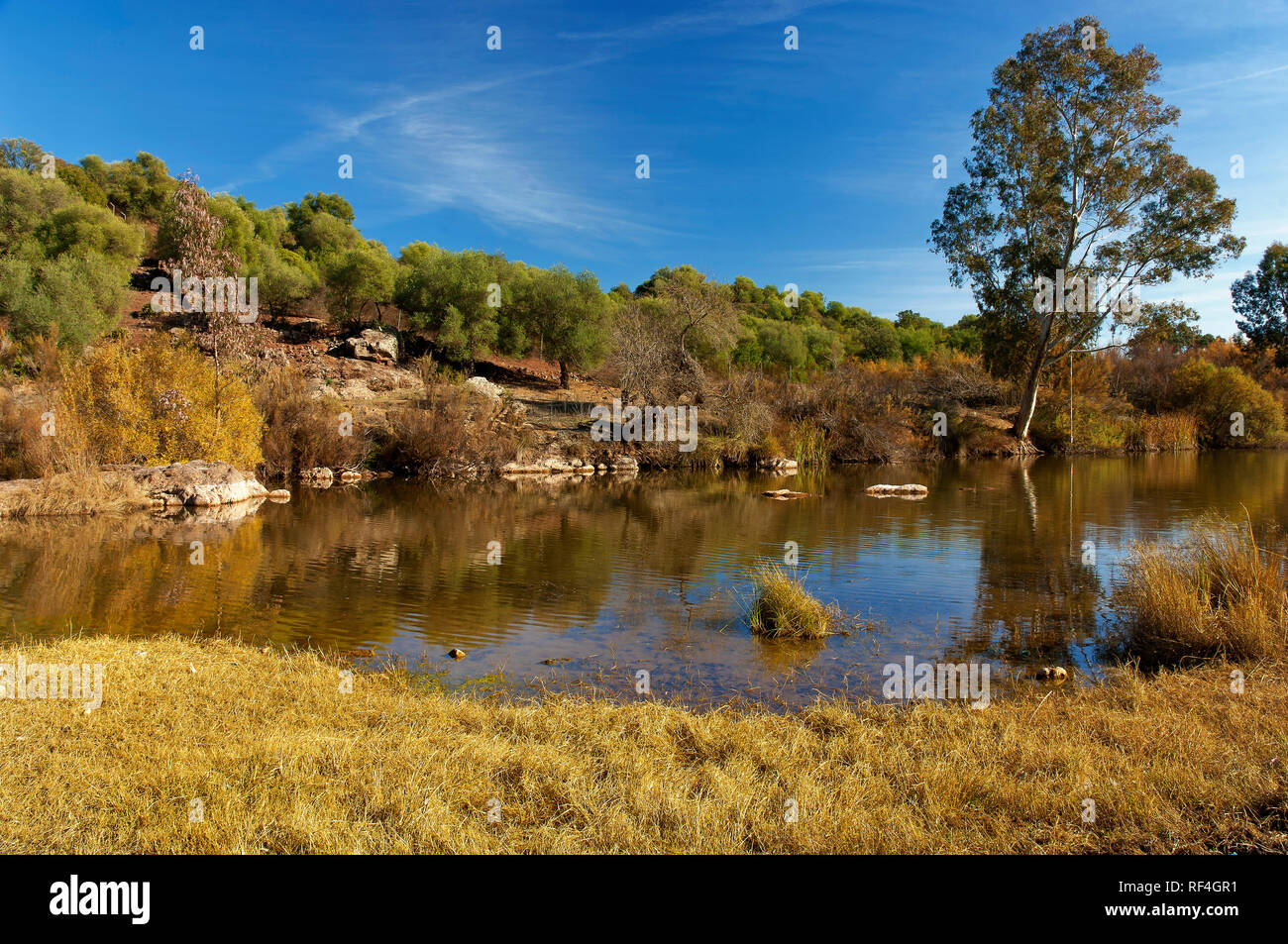 Le Parc Naturel de la Sierra Norte - rivière Viar. Province de Séville. Région de l'Andalousie. L'Espagne. L'Europe Banque D'Images