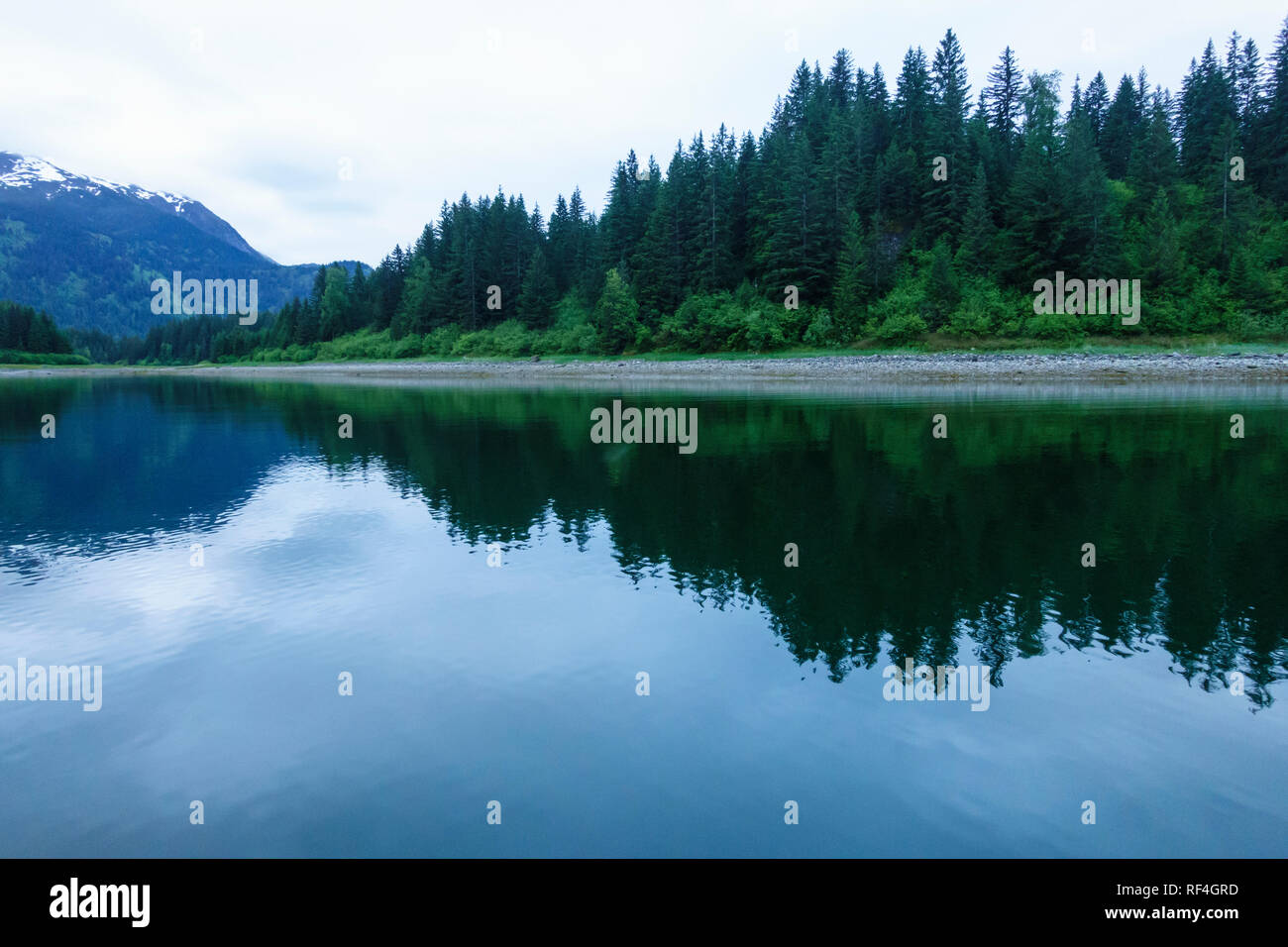 Belle scène de la nature dans un quartier calme cove à Glacier Bay National Park. Les rivages de l'île boisée se reflètent dans les eaux calmes d'une baie abritée. Banque D'Images