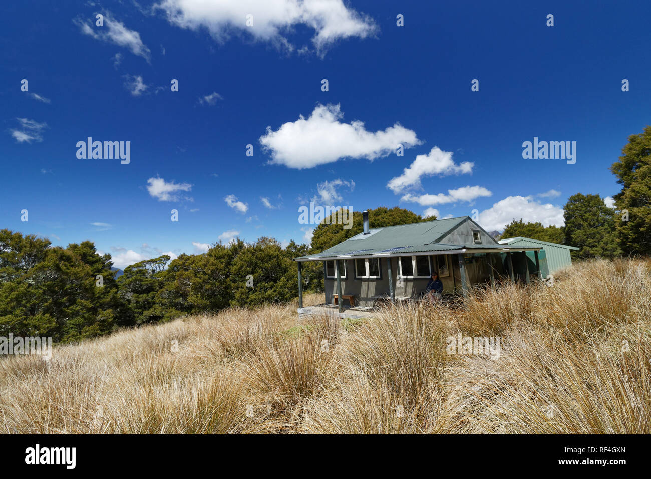 Balloon hut, hut dans l'arrière-pays sur le chemin du Lac de Peel, Kahurangi National Park, New Zealand. Banque D'Images