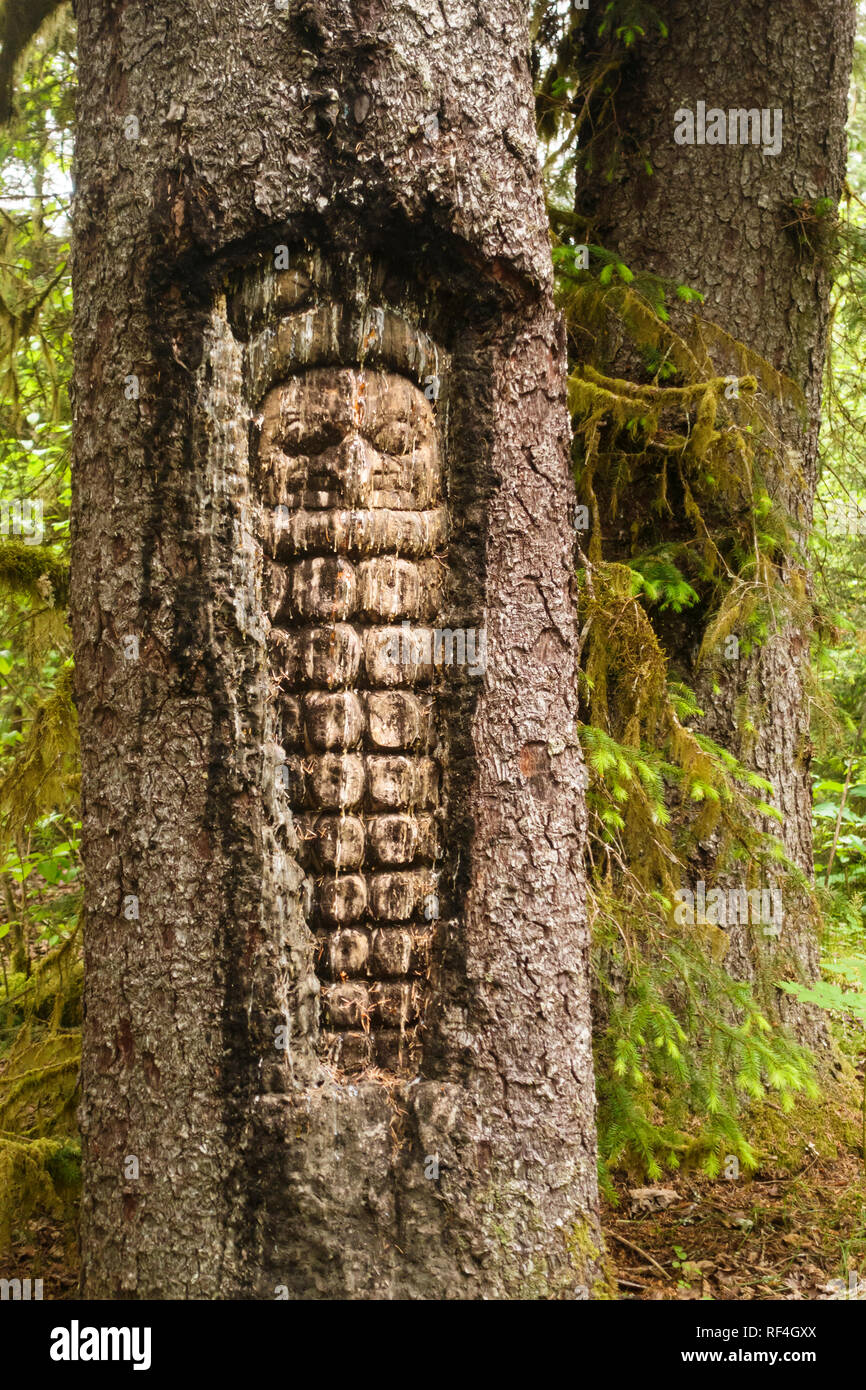 Un chouette style Indiens Tlingit figure sculptée dans un arbre près de Bartlett Cove, Glacier Bay National Park, Alaska, United States Banque D'Images