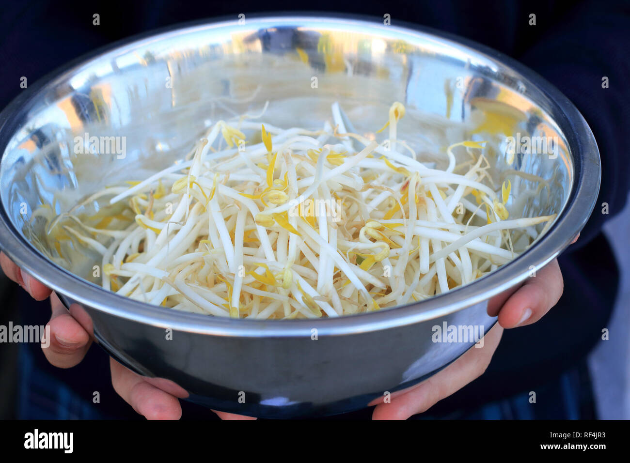 Close up of fresh haricots mungo dans bol en acier inoxydable Banque D'Images