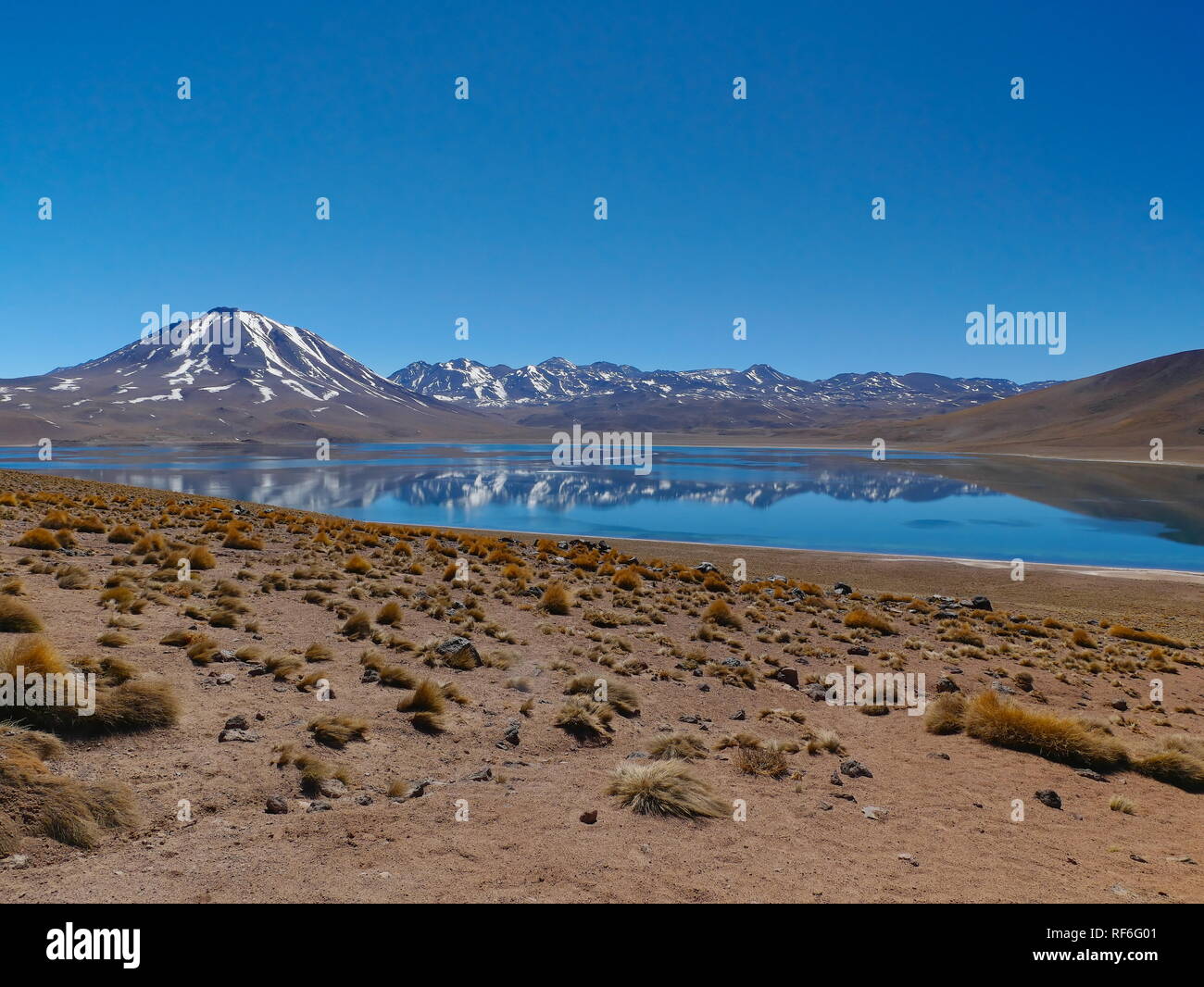 Laguna Miscanti dans les Andes chiliennes. Le désert d'Atacama au nord du Chili est la région la plus sèche sur la terre. Banque D'Images