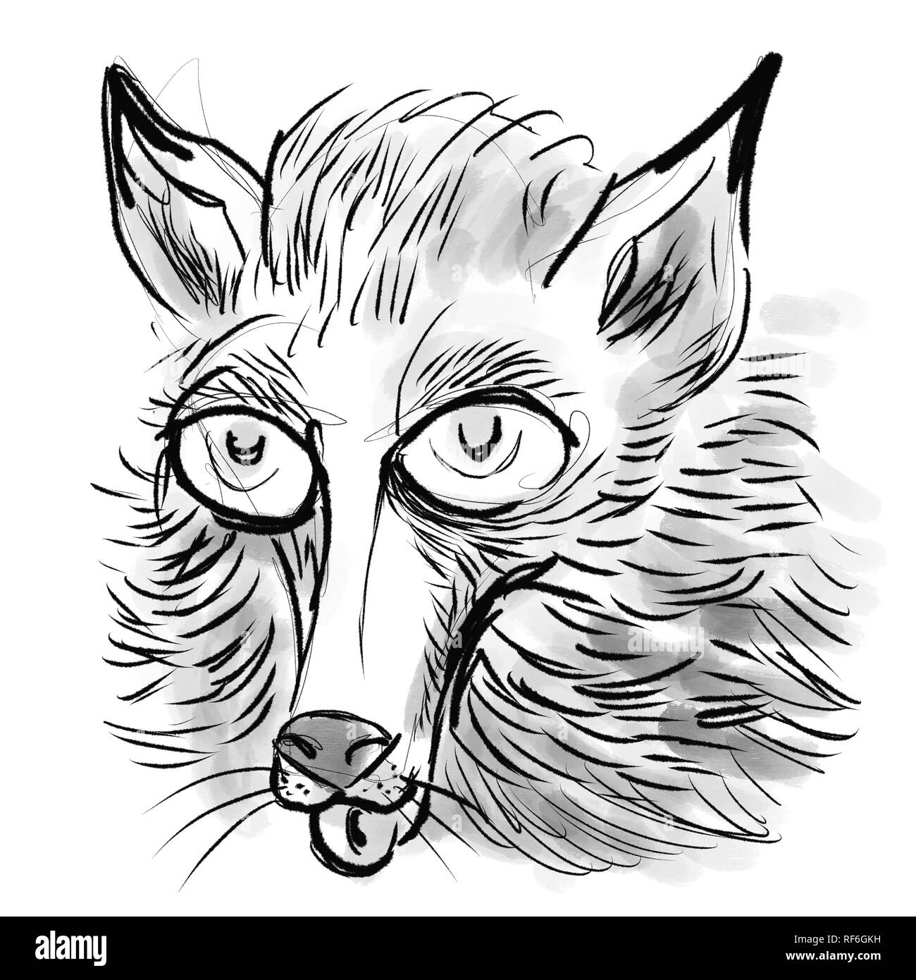 Dessin Noir Et Blanc Réaliste Dessin réaliste Banque d'images noir et blanc - Alamy