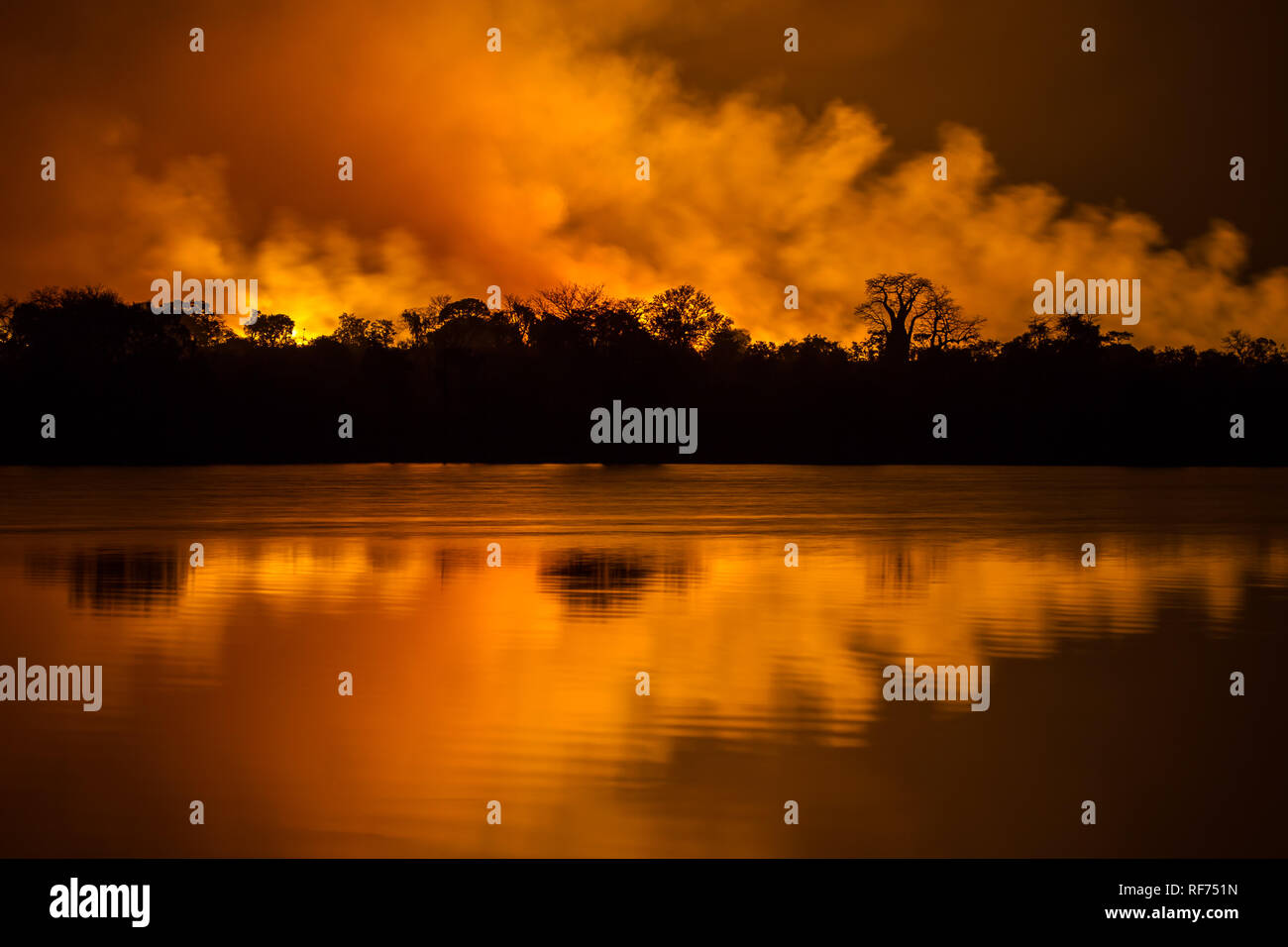 Le feu est un élément important de l'écologie des écosystèmes de savane ; il garde l'équilibre entre l'herbe et les arbres à Kafue National Park, Zambie Banque D'Images
