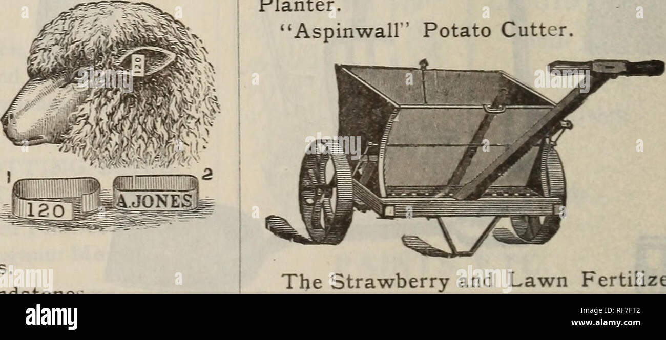 . La géo. A. Weaver Company's seed catalogue. Pépinière Newport Rhode Island ; les catalogues de graines de fleurs, graines de légumes Catalogues Catalogues Catalogues ; fruits ; plantes ornementales, Catalogues Catalogues ; instruments agricoles. Bagues Bull Calf w e d n e r s et sucer muselières de vache. Le cadre en bois Thomas herse ou pulvérisateur. Morgan, à bêcher, tigre et Climax Harrow. Disque en coupe et de l'acier de lissage levier Harrow. La bineuse universelle et le cultivateur. La herse combinée et le cultivateur. N° 38 Syracuse Levier Steel-Frame cultivateur. Matthew Hill et percer Seeder. Cadre en acier n°76, cultivateur Syr- acuse. Banque D'Images