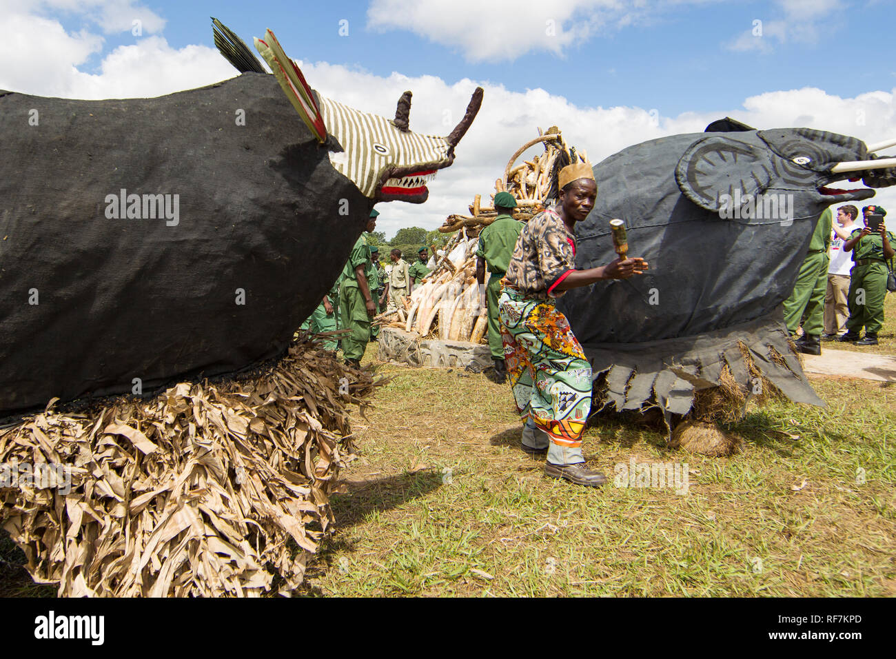 Gule wamkulu danseurs traditionnels tribaux effectuer une cérémonie spirituelle en face de l'ivoire d'éléphant confisqués prévue pour brûler, à Lilongwe au Malawi Banque D'Images