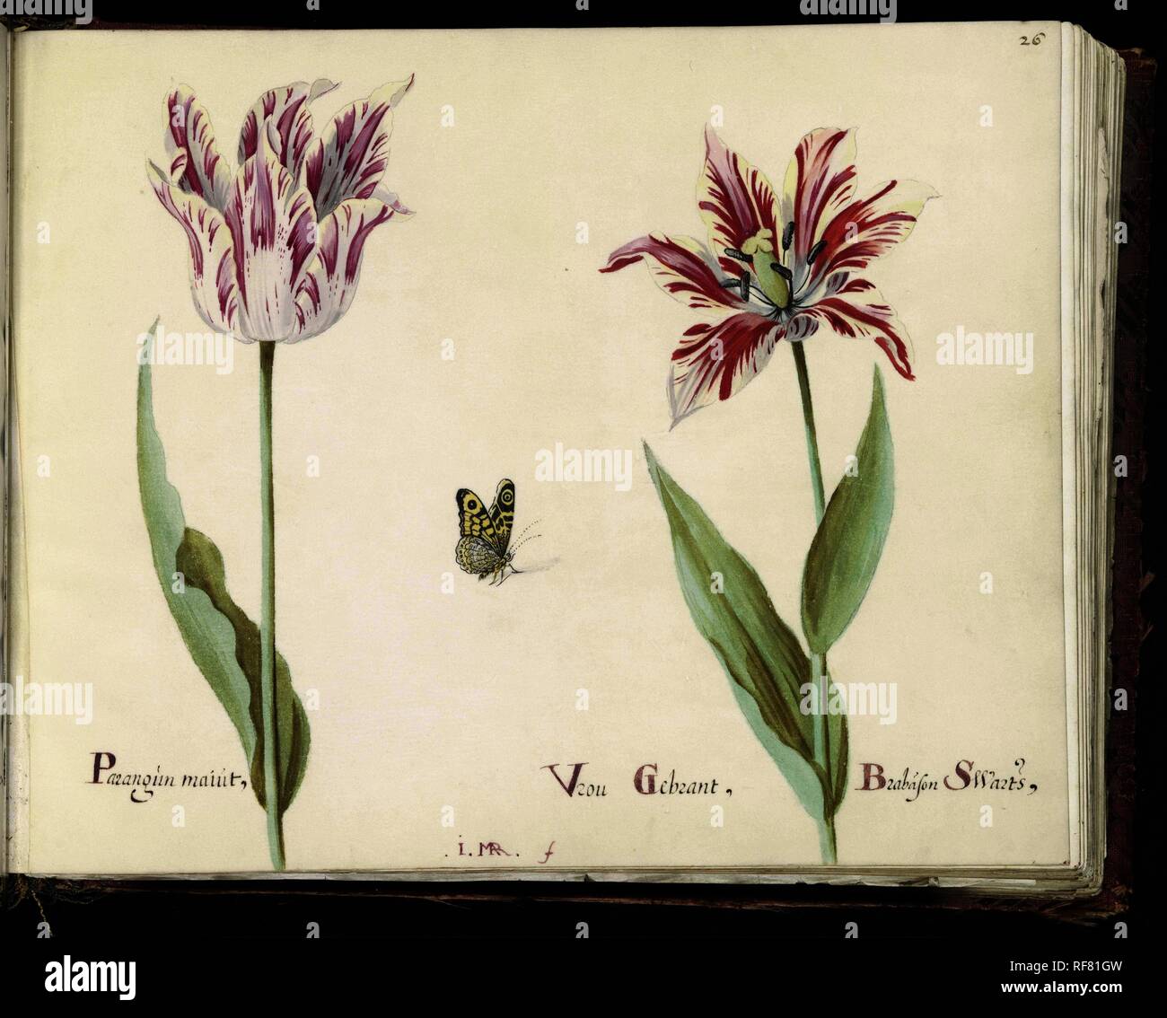 avis site de rencontre 2012