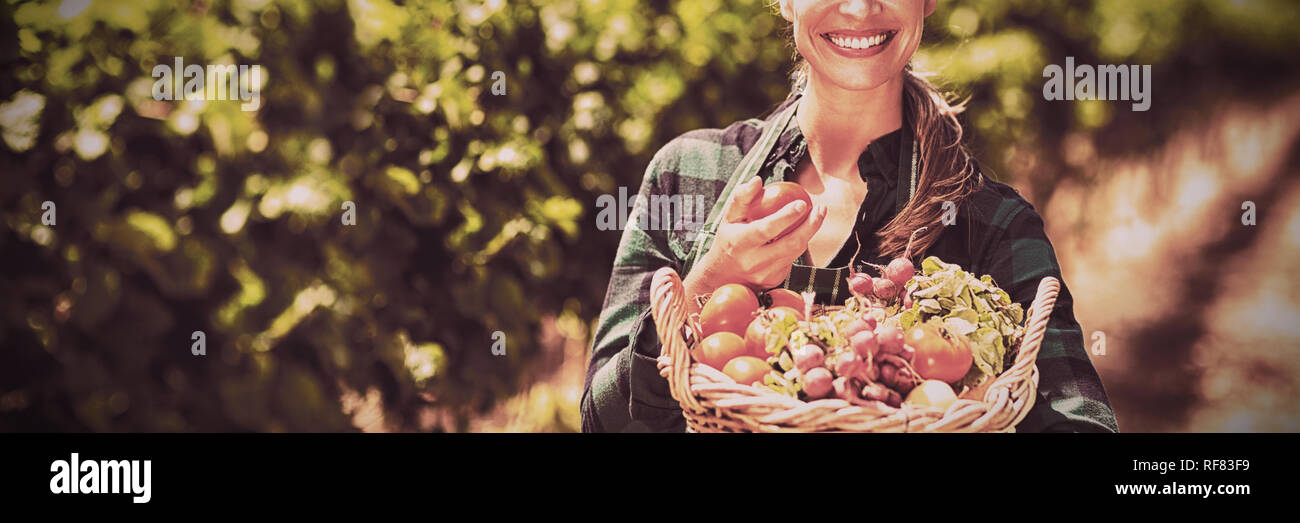 Portrait of happy female farmer holding un panier de légumes Banque D'Images