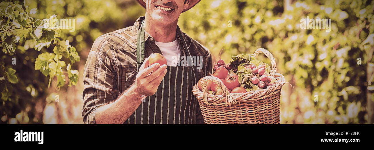 Portrait of smiling farmer holding panier de légumes Banque D'Images