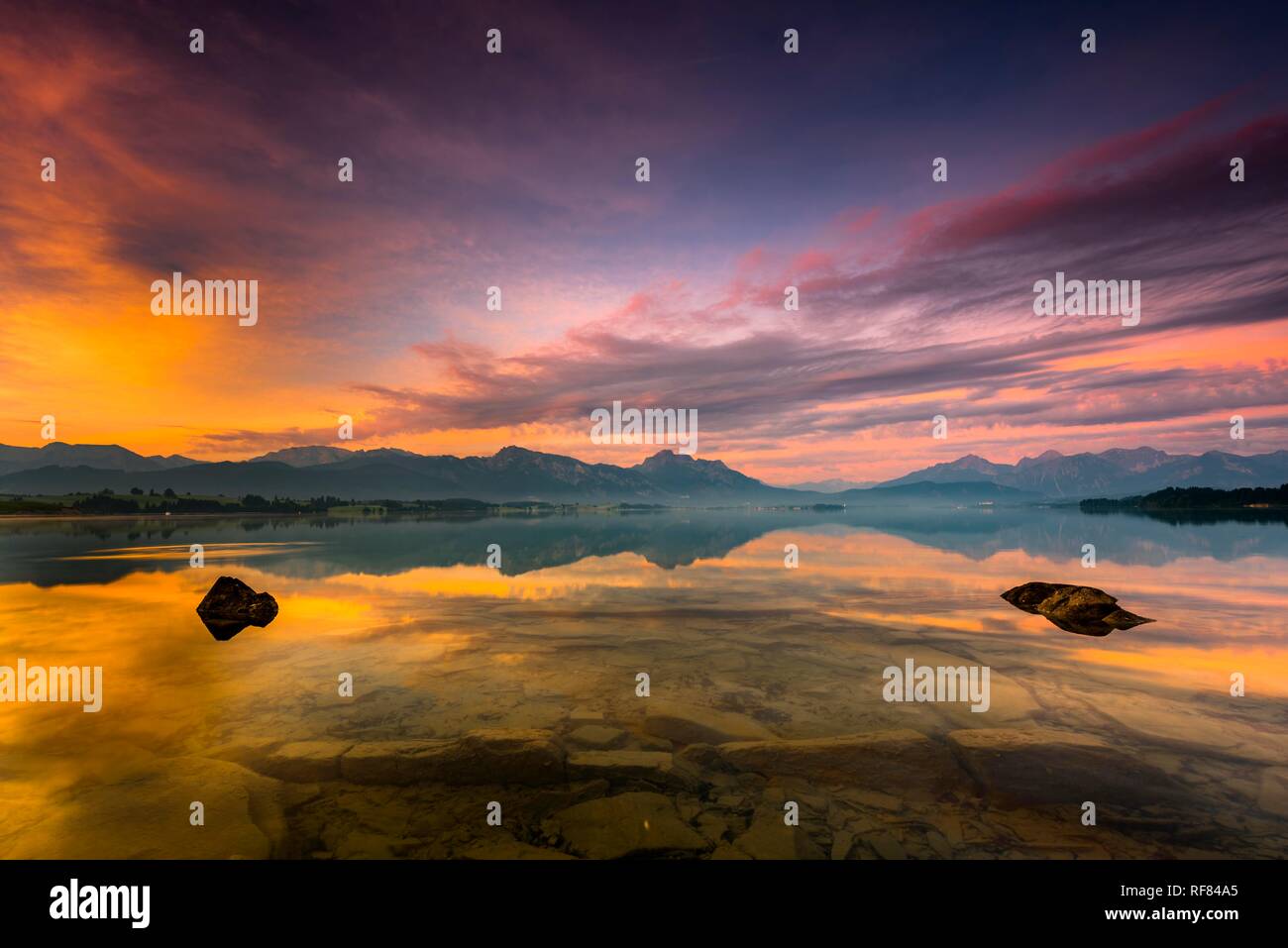 Avec le reflet de Forggensee ciel nuageux et l'Allgäuer montagnes en arrière-plan au lever du soleil, Füssen, Allgäu, Bavière Banque D'Images