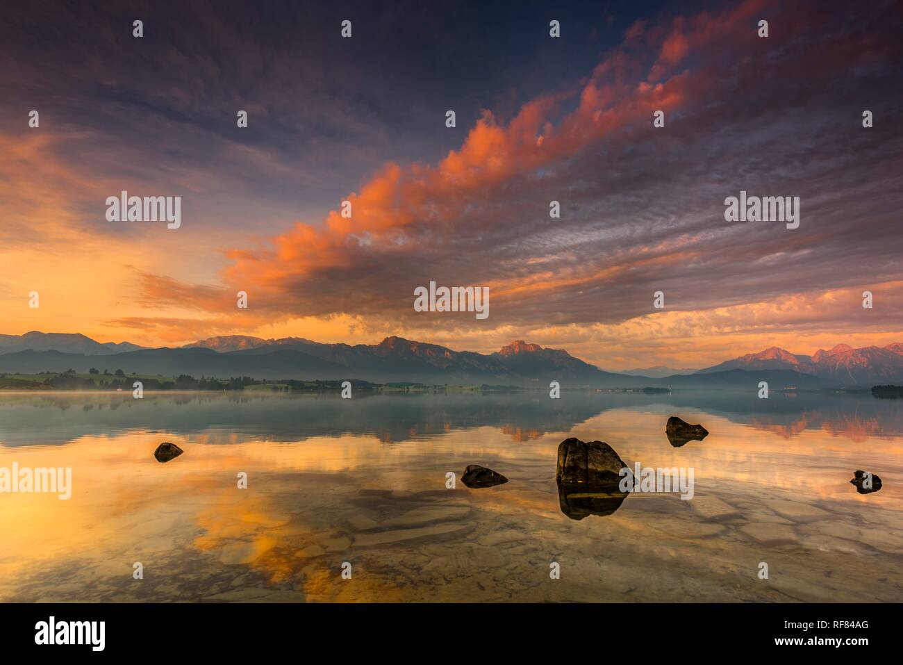 Avec le reflet de Forggensee ciel nuageux et l'Allgäuer montagnes en arrière-plan au lever du soleil, Füssen, Allgäu, Bavière Banque D'Images