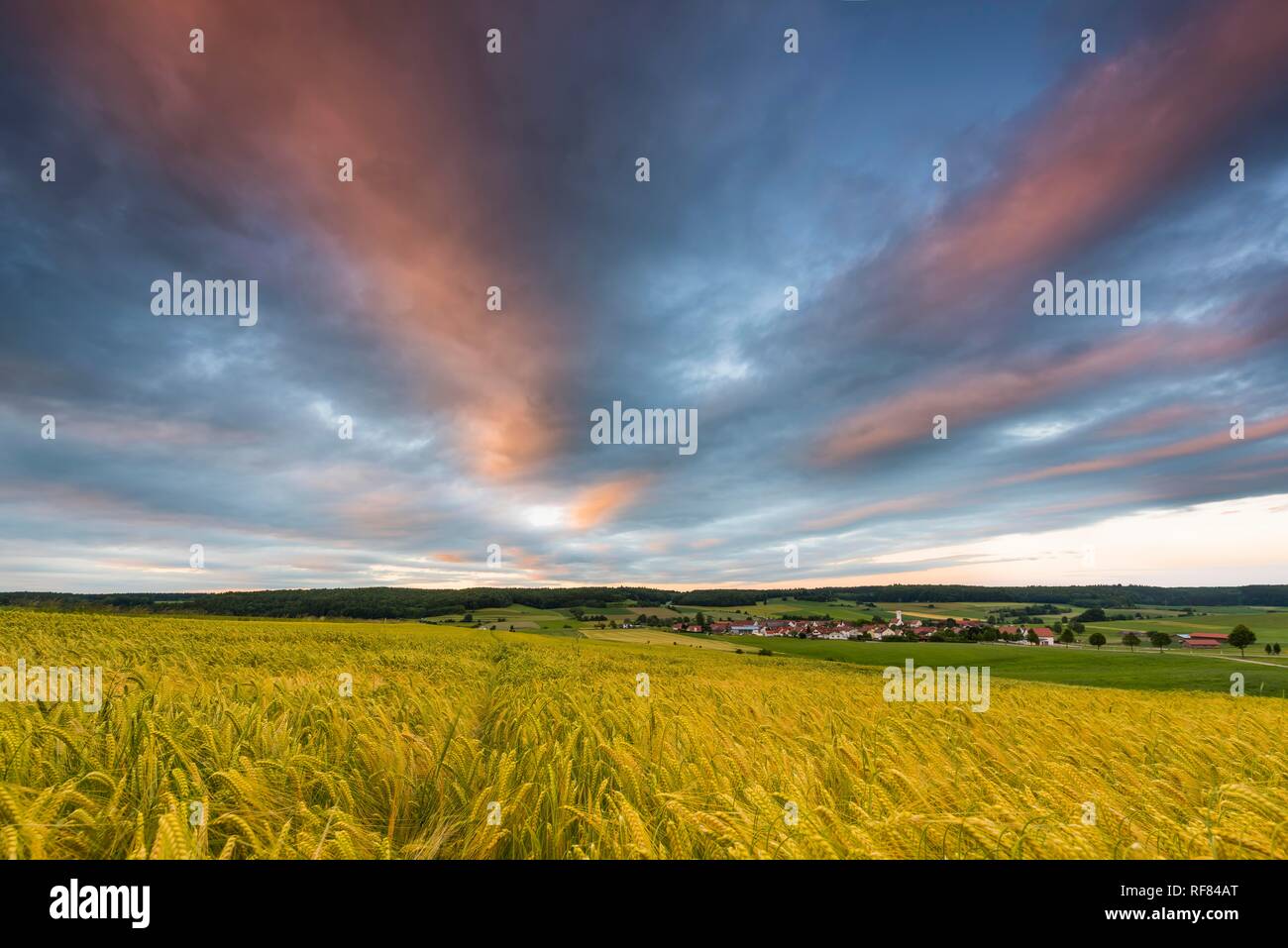 Un champ avec ciel nuageux, Dietershofen, Unterallgäu, Bavière, Allemagne Banque D'Images