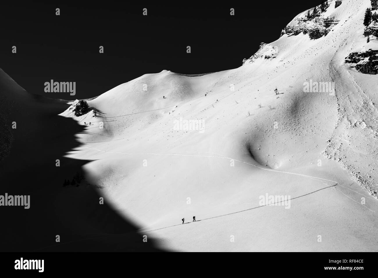 En ski de randonnée ascension, avalanche, Reutte, Loin, Tyrol, Autriche Banque D'Images