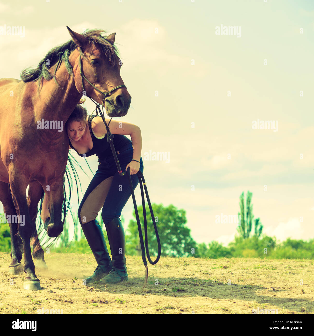 L'amour humain et animal, concept d'équidés. Femme Jockey en prenant soin du cheval Banque D'Images