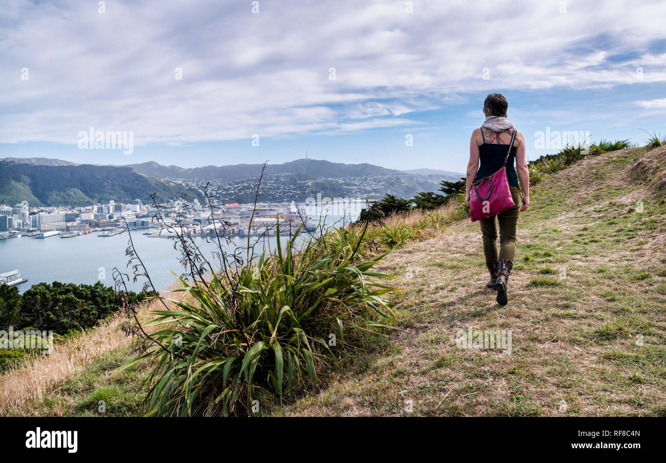 Vues de la capitale Wellington du Mt Victoria Lookout, sur une chaude journée d'automne. Banque D'Images