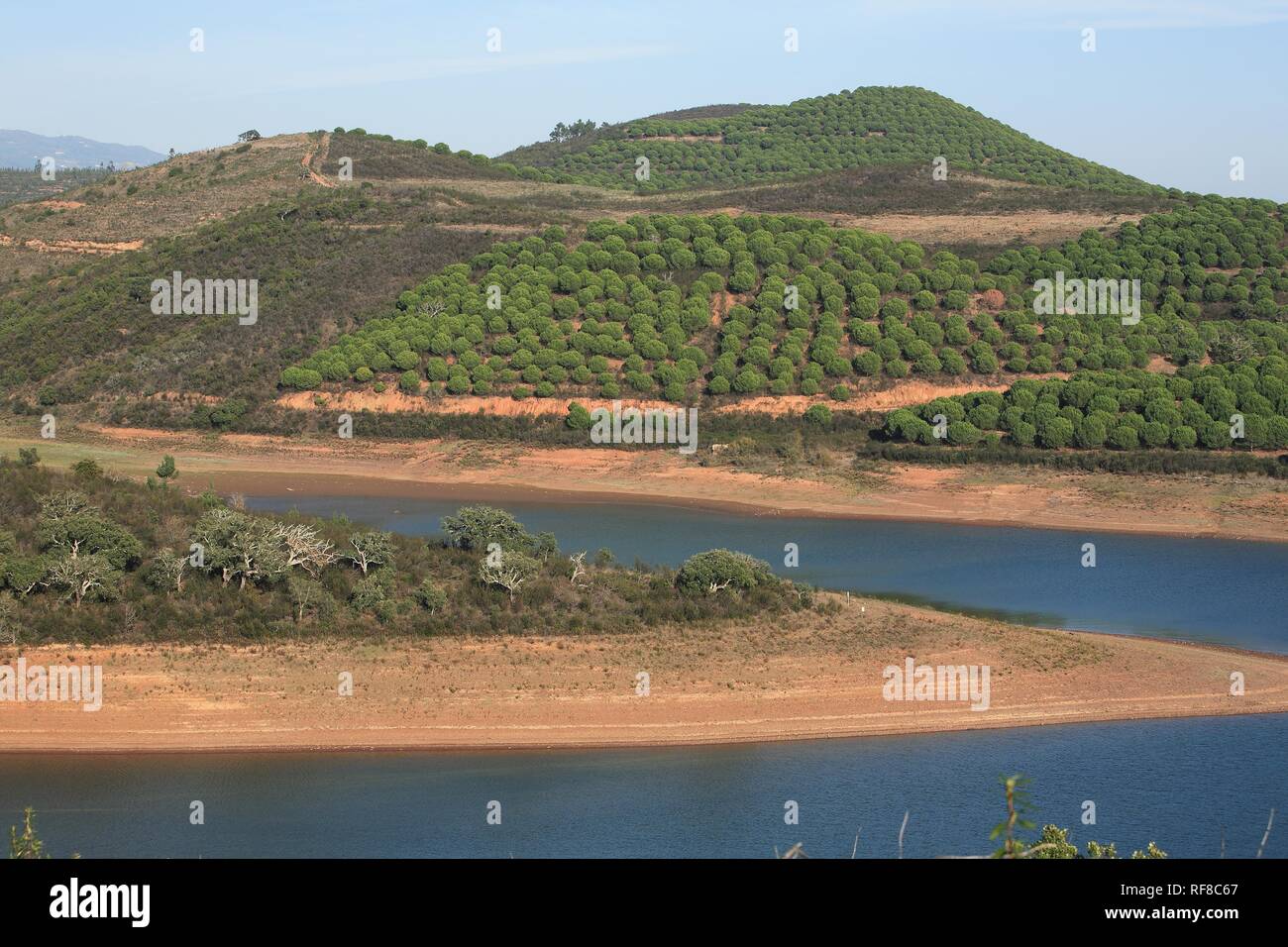 Paysage à la réservoir Barragem da Bravura avec forêt de pins, Algarve, Portugal Banque D'Images