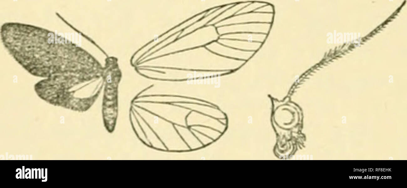 Rouge Orange Noirâtre Photos Rouge Orange Noirâtre Images