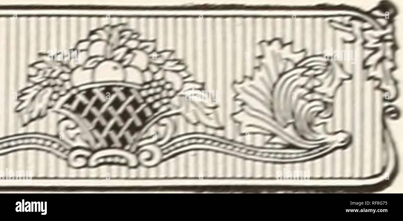 . Catalogue des pépinières de Mount Hope créé en 1840. Pépinières (Horticulture) ; Catalogues Catalogues de graines Roses Fraises ; catalogues ; bulbes (plantes) ; Catalogues Catalogues Catalogues de fruits, fleurs. Monsieur le ^^^^m 1 -*y ; ^ ^ -£f&gt ; [AOUNT ESPÈRE FORESTIÈRES 7 l'Ife. Les plantes de couverture qui peuvent être utilisés pour l'ornement, l'abri, d'écrans et de la défense à ces fins, nous recommandons des résineux comme l'American et sibérien Arbor YUm, l'épinette de Norvège, autrichien, tandis que et le scotch Pines, pruches, et beaucoup d'arbres feuillus et d'arbustes à feuilles persistantes, comme le troène, la Californie, Ibota, anglais et Regelianum, Berberi* Thu Banque D'Images