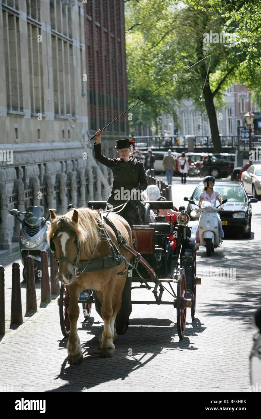 Horse-et-buggy utilisé pour des visites de la ville, Amsterdam, Pays-Bas,  Europe Photo Stock - Alamy