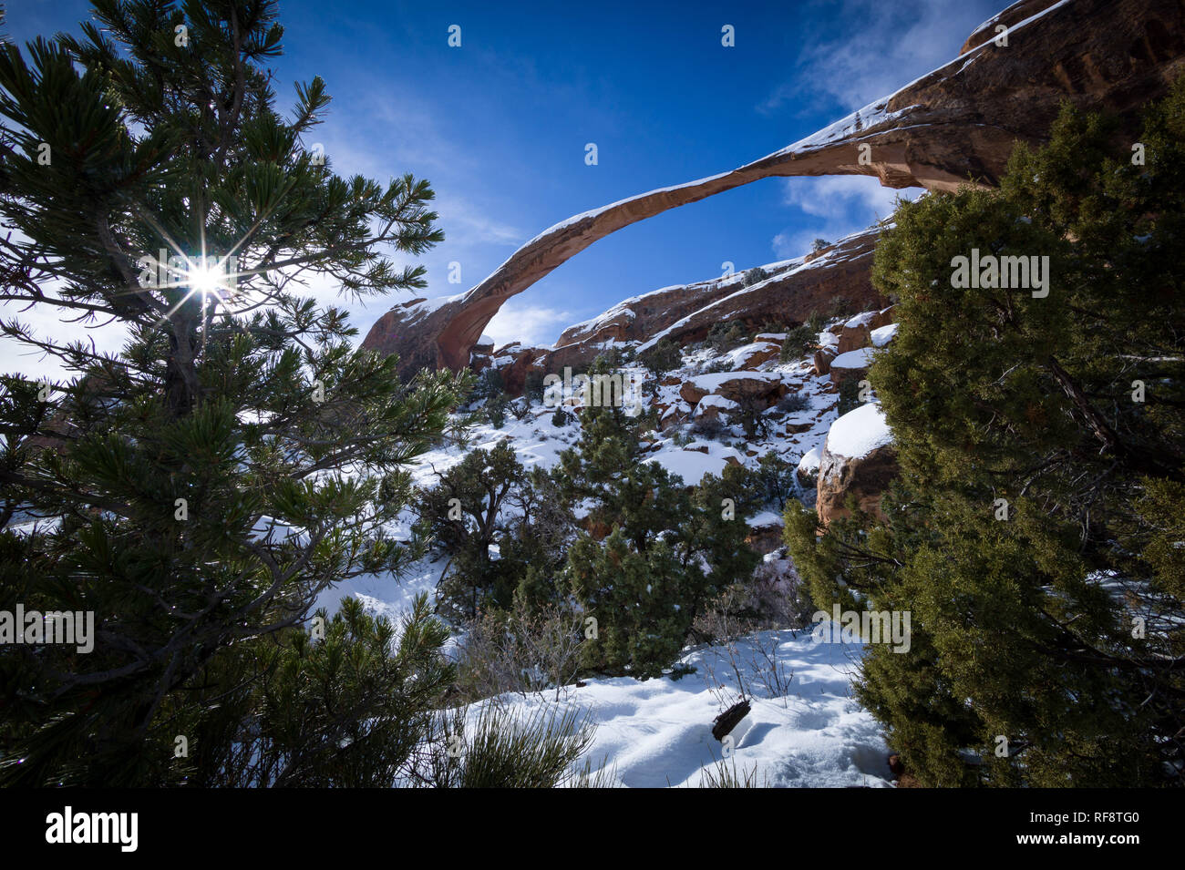 L'hiver est le moment idéal pour visiter Arches National Park dans l'Utah, où le parc est moins bondé et il y a une chance de neige recouvrent le paysage Banque D'Images