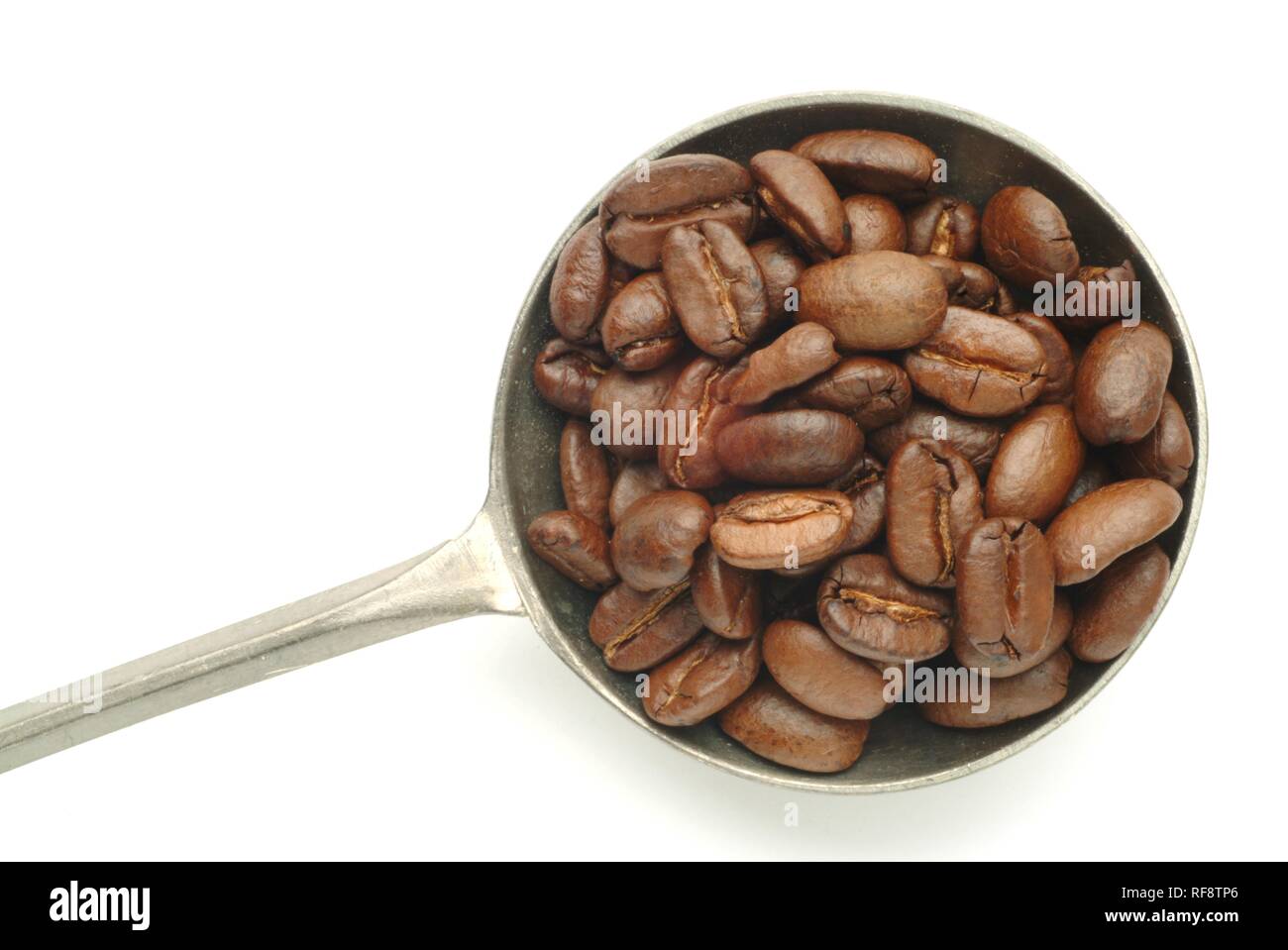 Grains de café dans une boule Banque D'Images