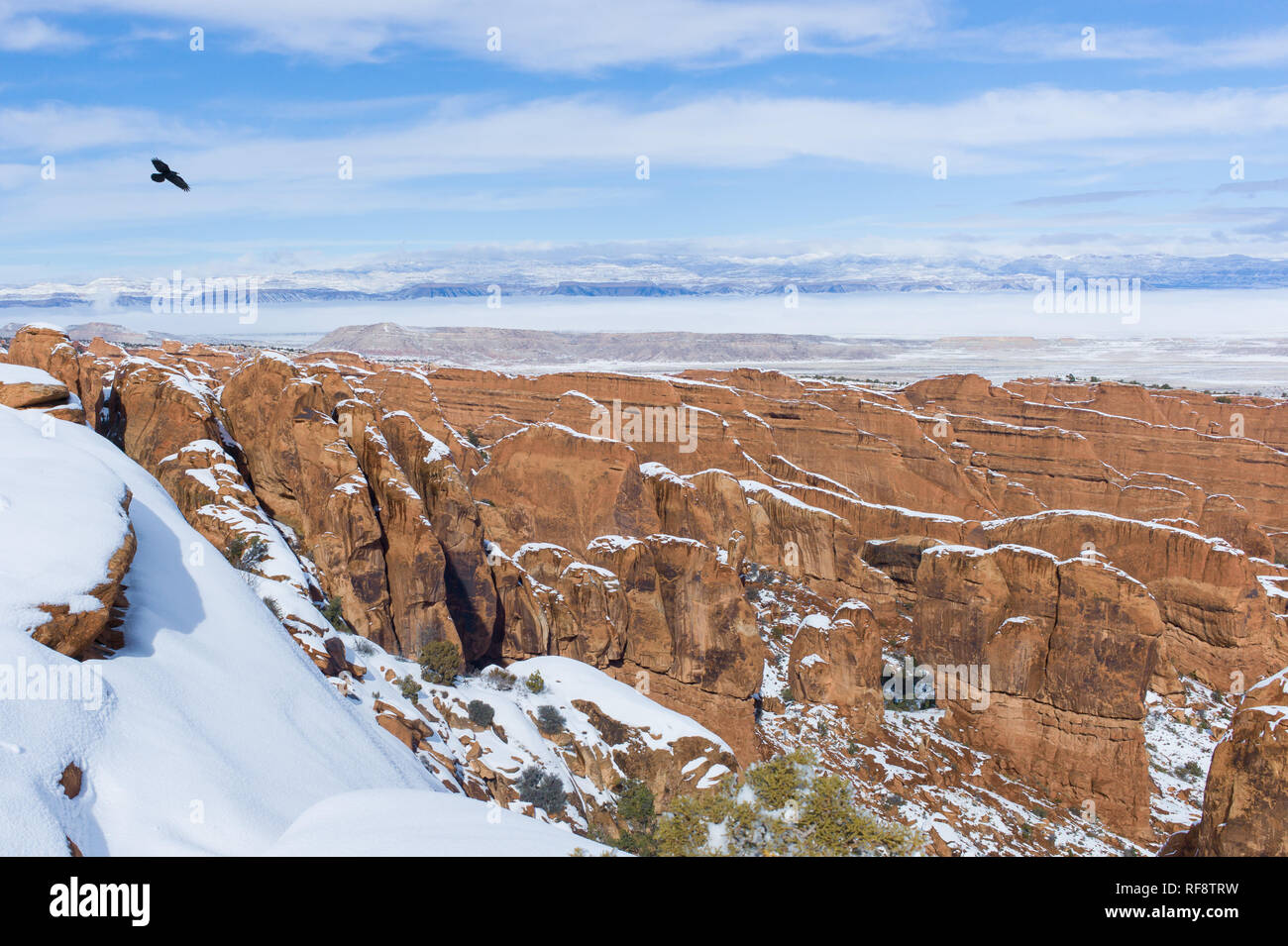 L'hiver est le moment idéal pour visiter Arches National Park dans l'Utah, où le parc est moins bondé et il y a une chance de neige recouvrent le paysage Banque D'Images