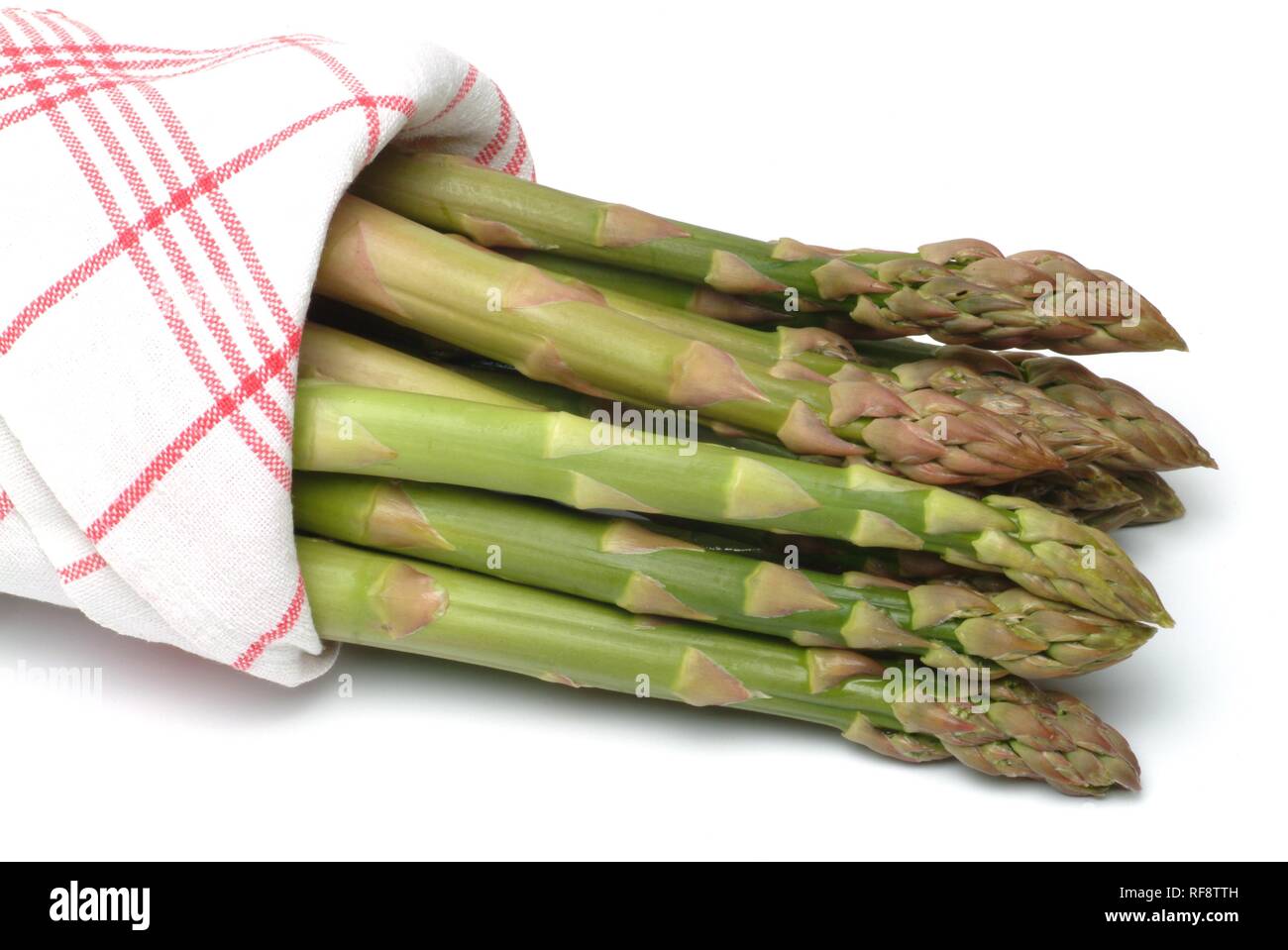 Green asperge (Asparagus officinalis, Asparago verde) Banque D'Images