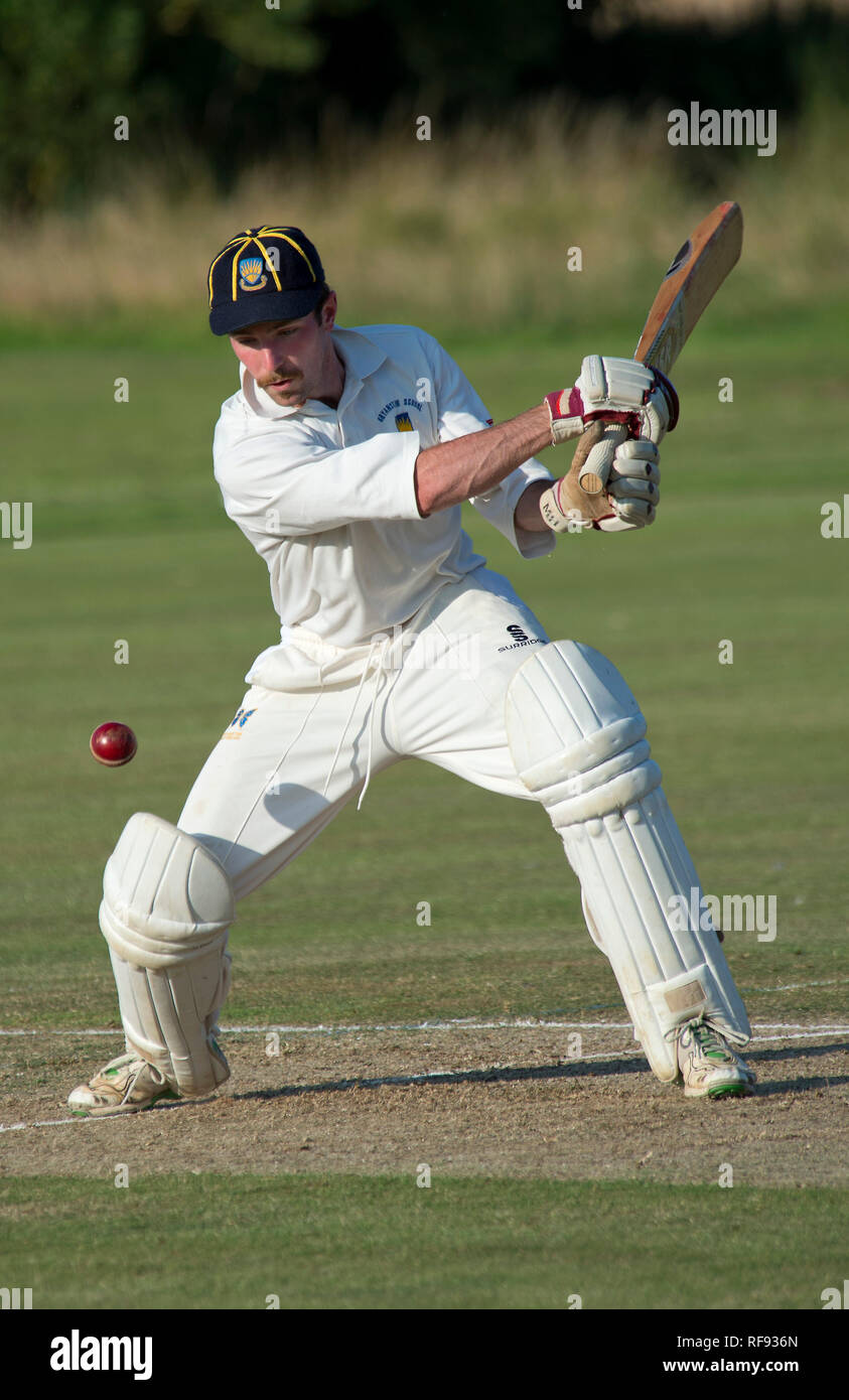 Maison Bowerswaine Gussage, Tous les Saints, Dorset, qui comprend son propre terrain de cricket en pleine dimension Banque D'Images