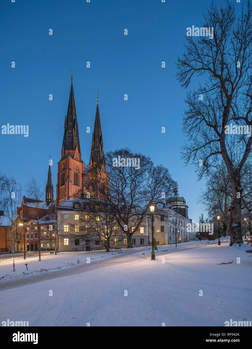 La cathédrale et le Gustavianum, la nuit, l'hiver. Vue depuis le parc de l'université, Uppsala, Suède, Scandinavie Banque D'Images