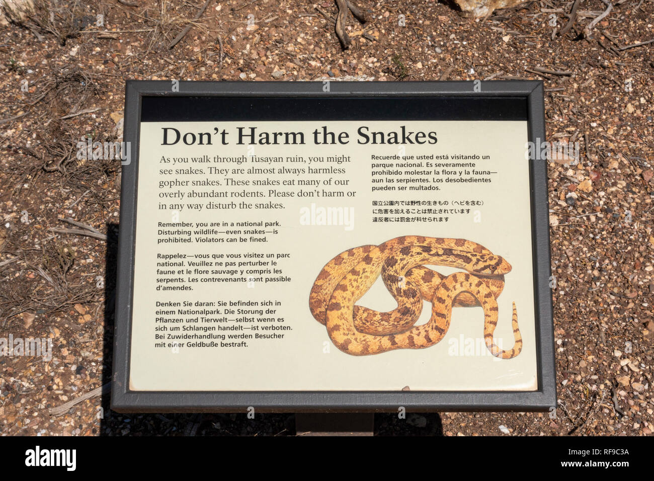 'Ne pas nuire à l'information et d'alerte des serpents signe, Tusayan ruines (ou Tusayan Pueblo) dans le Parc National du Grand Canyon, Arizona, USA. Banque D'Images