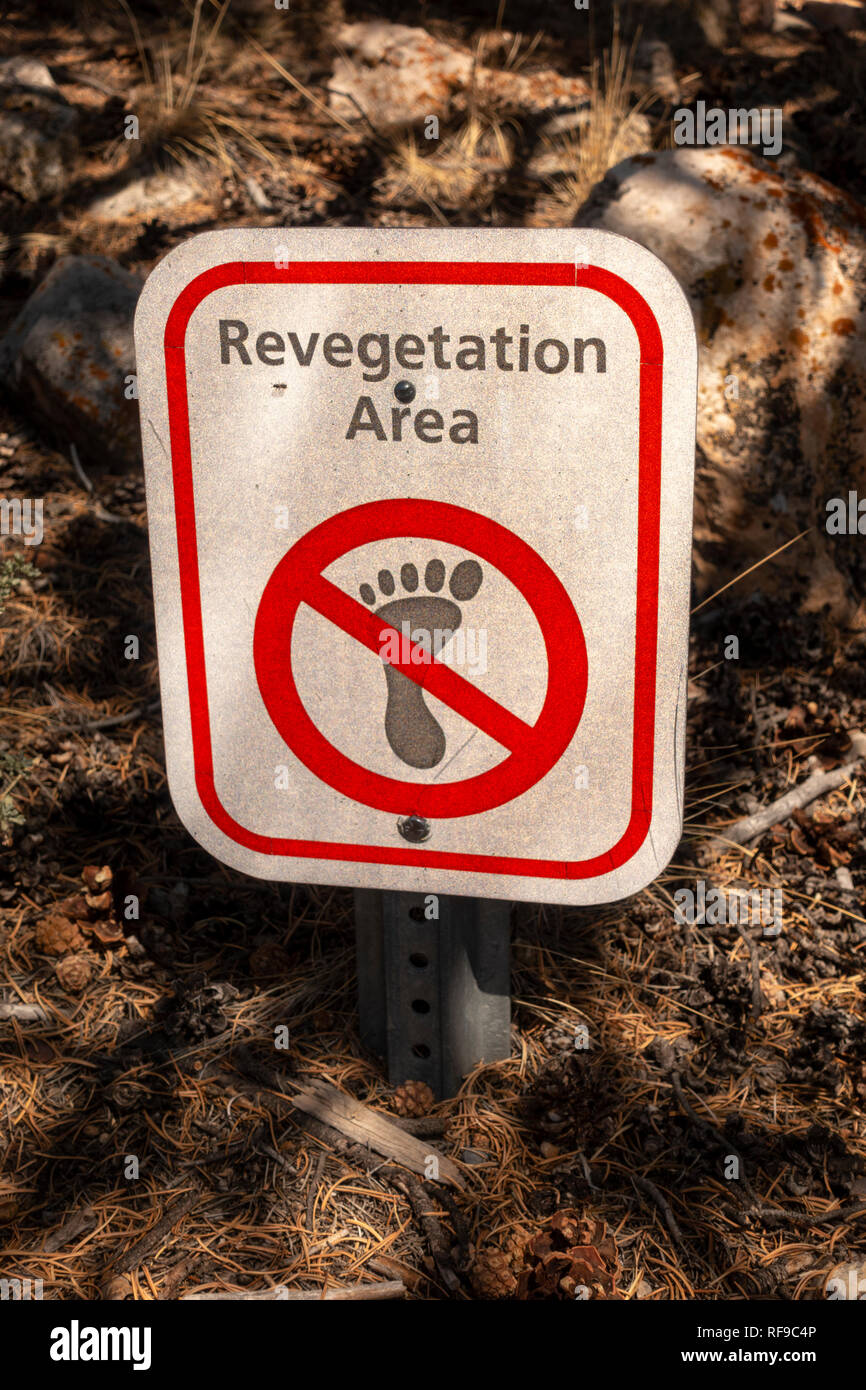 "Re-végétation" panneau d'avertissement dans les ruines (Tusayan ou Tusayan Pueblo) dans le Parc National du Grand Canyon, Arizona, USA. Banque D'Images