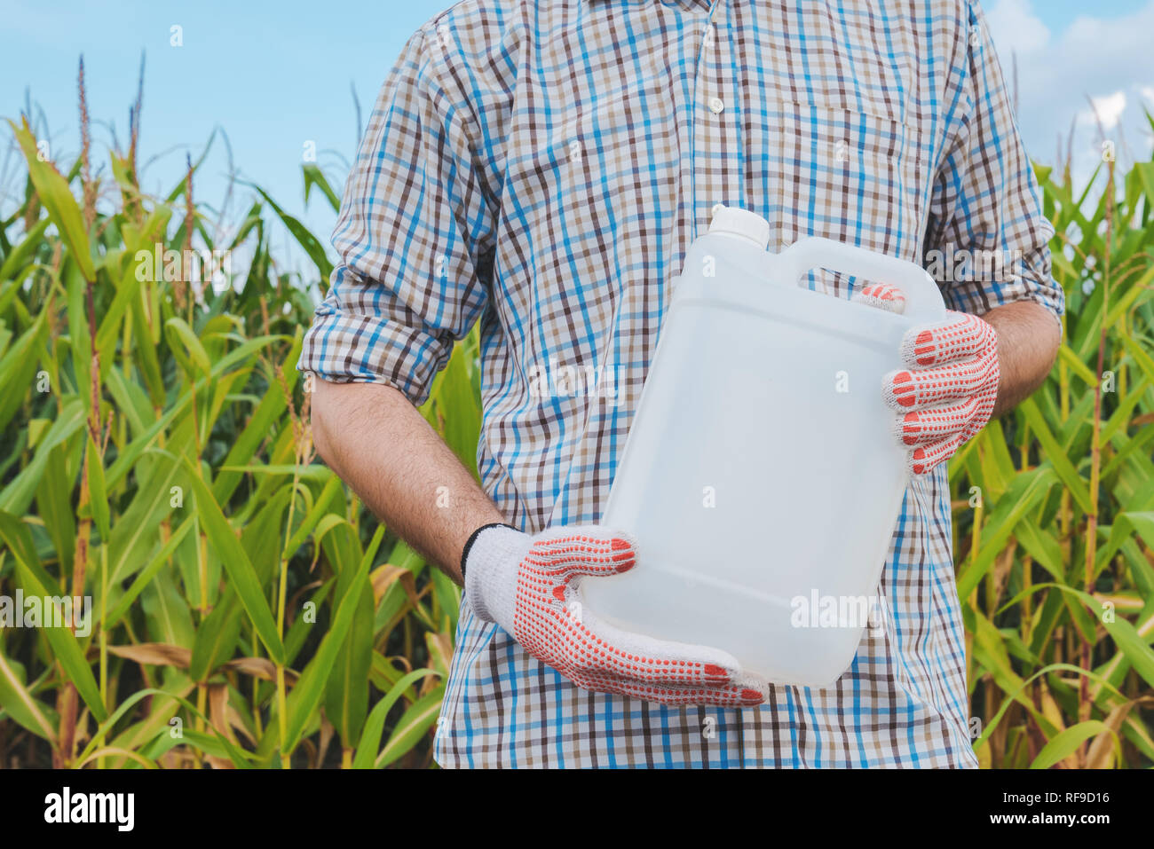 Agriculteur détenant des pesticides non verseuse en champ, agronome recommande d'hebicide maïs pour la protection des cultures, des maquettes Banque D'Images