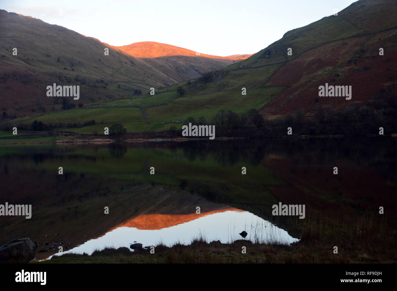 Le Wainwright reste Dodd reflète dans l'eau au coucher du soleil, des frères Dovedale, Parc National de Lake District, Cumbria, England, UK. Banque D'Images